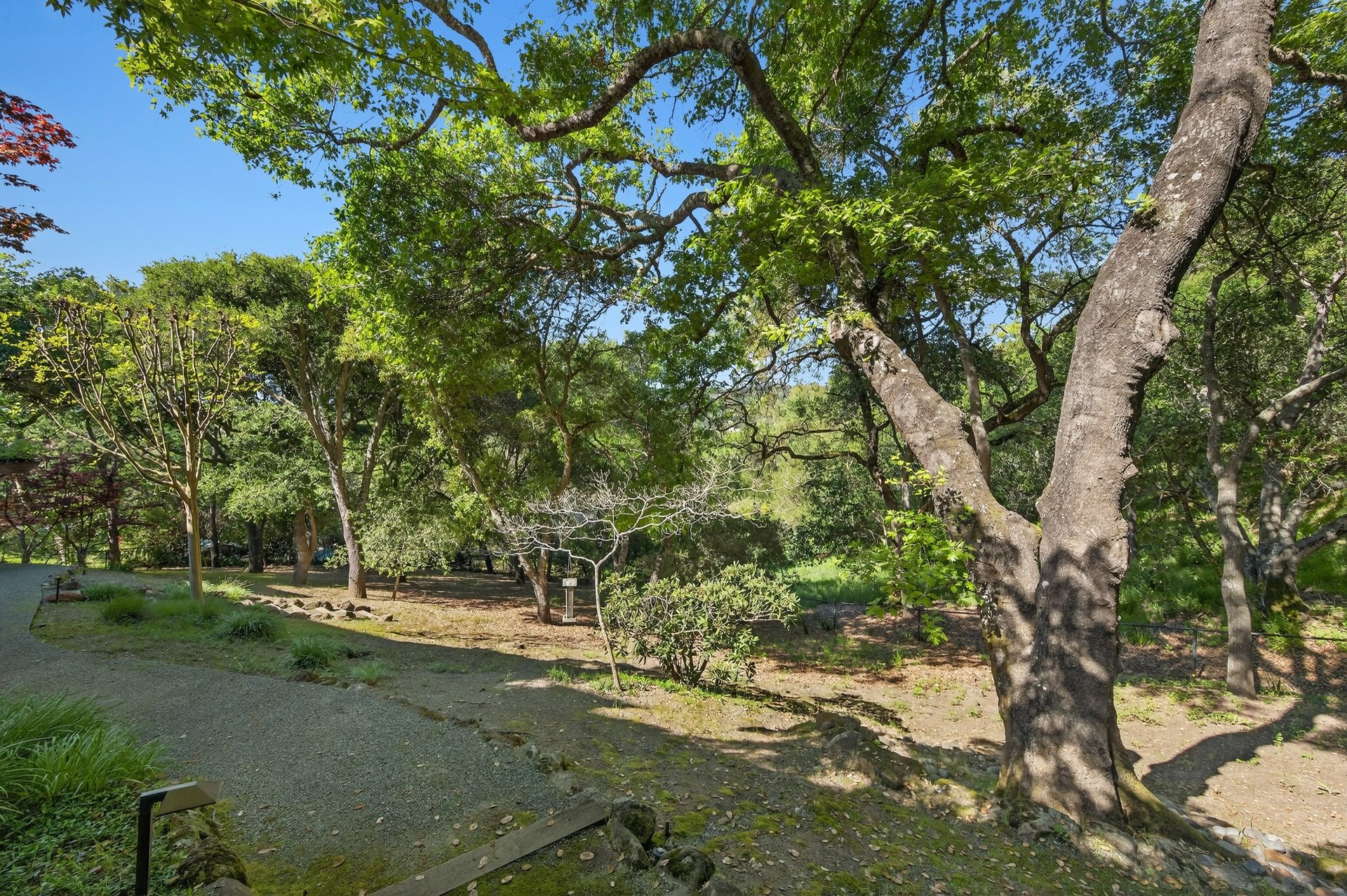25 Wood Acres Ct
