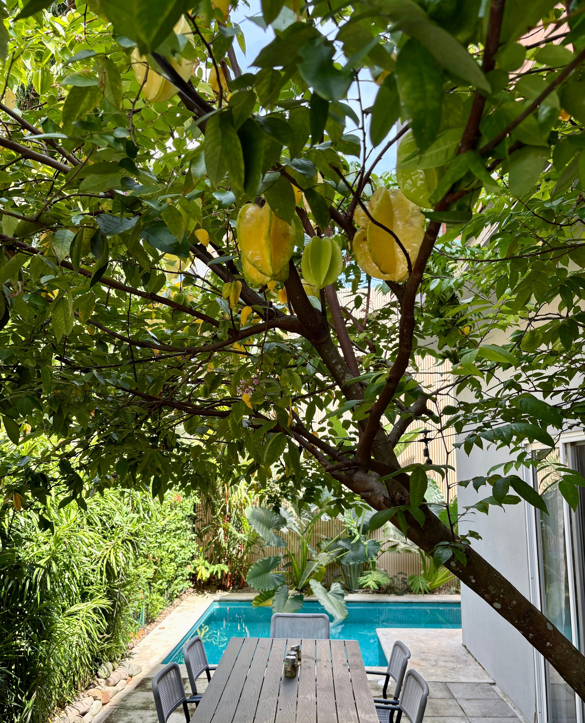 Boutique South Jaco Townhome