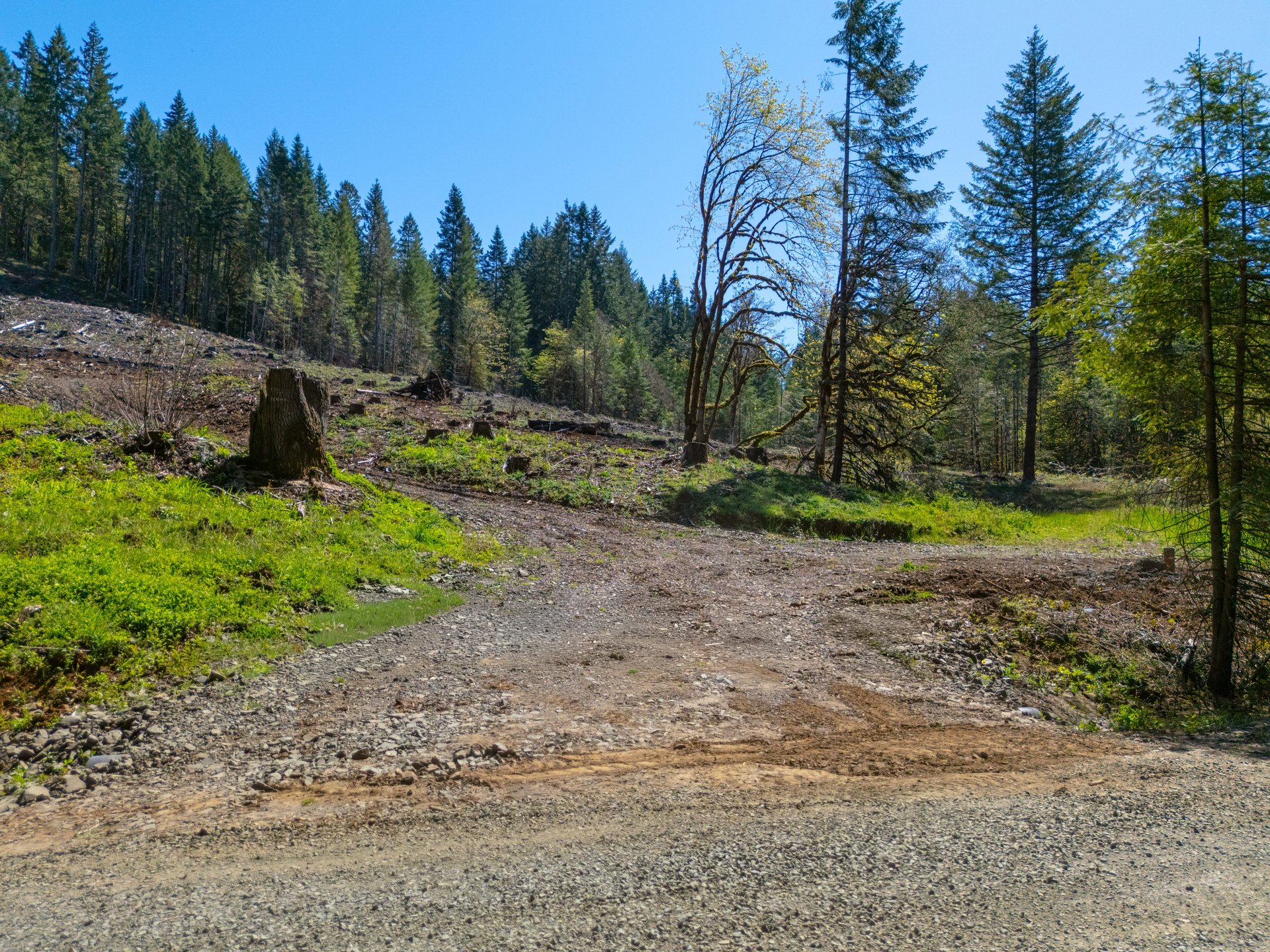 Sharewater Homesite