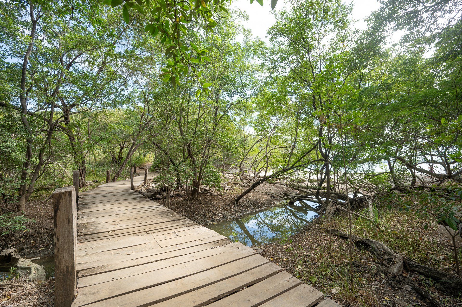El Prado Lot #18 | Near the Coast Home Construction Site For Sale in Las Catalinas