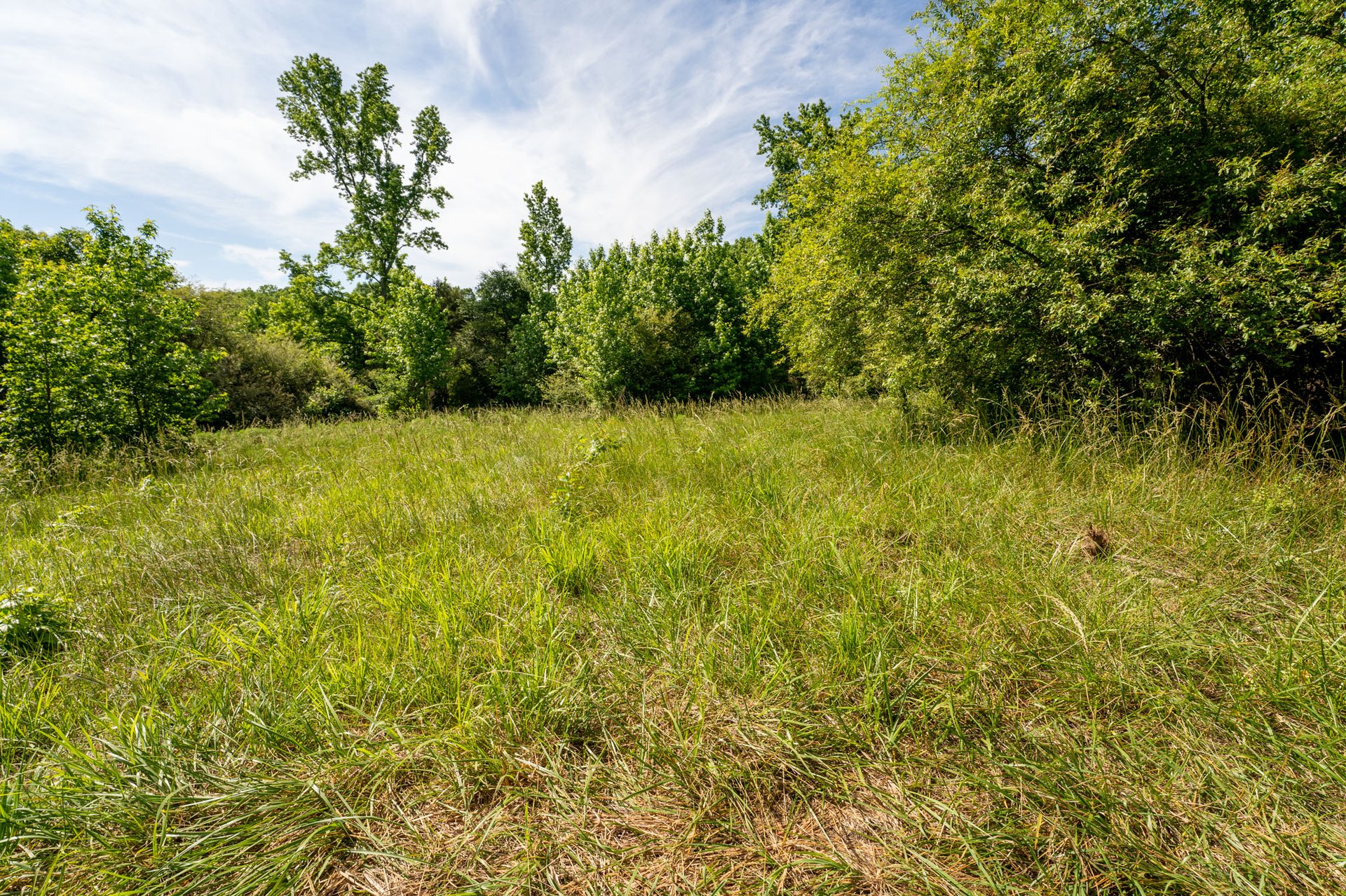 The Ranches at Sandy Creek
