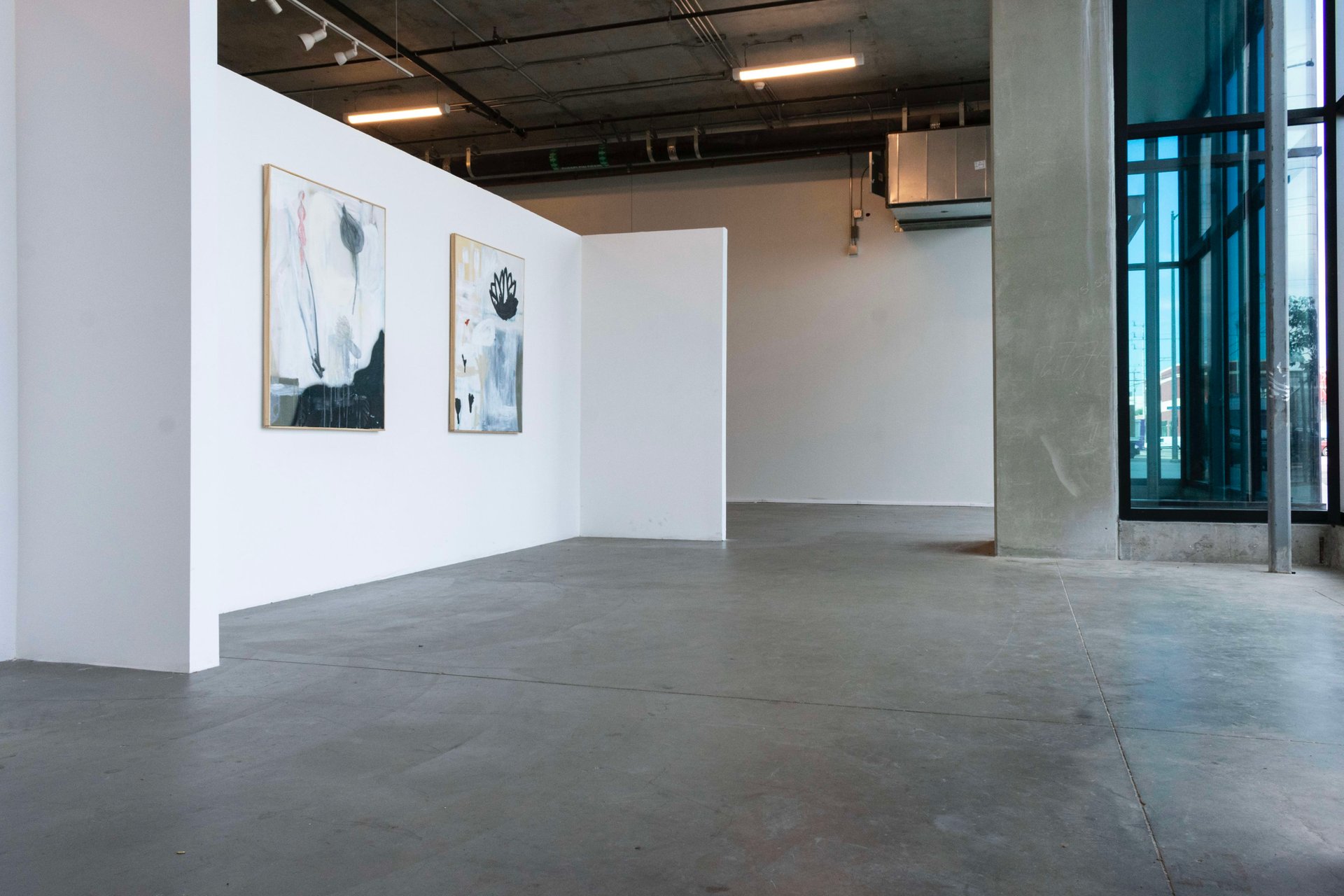 The Gallery 🖼️