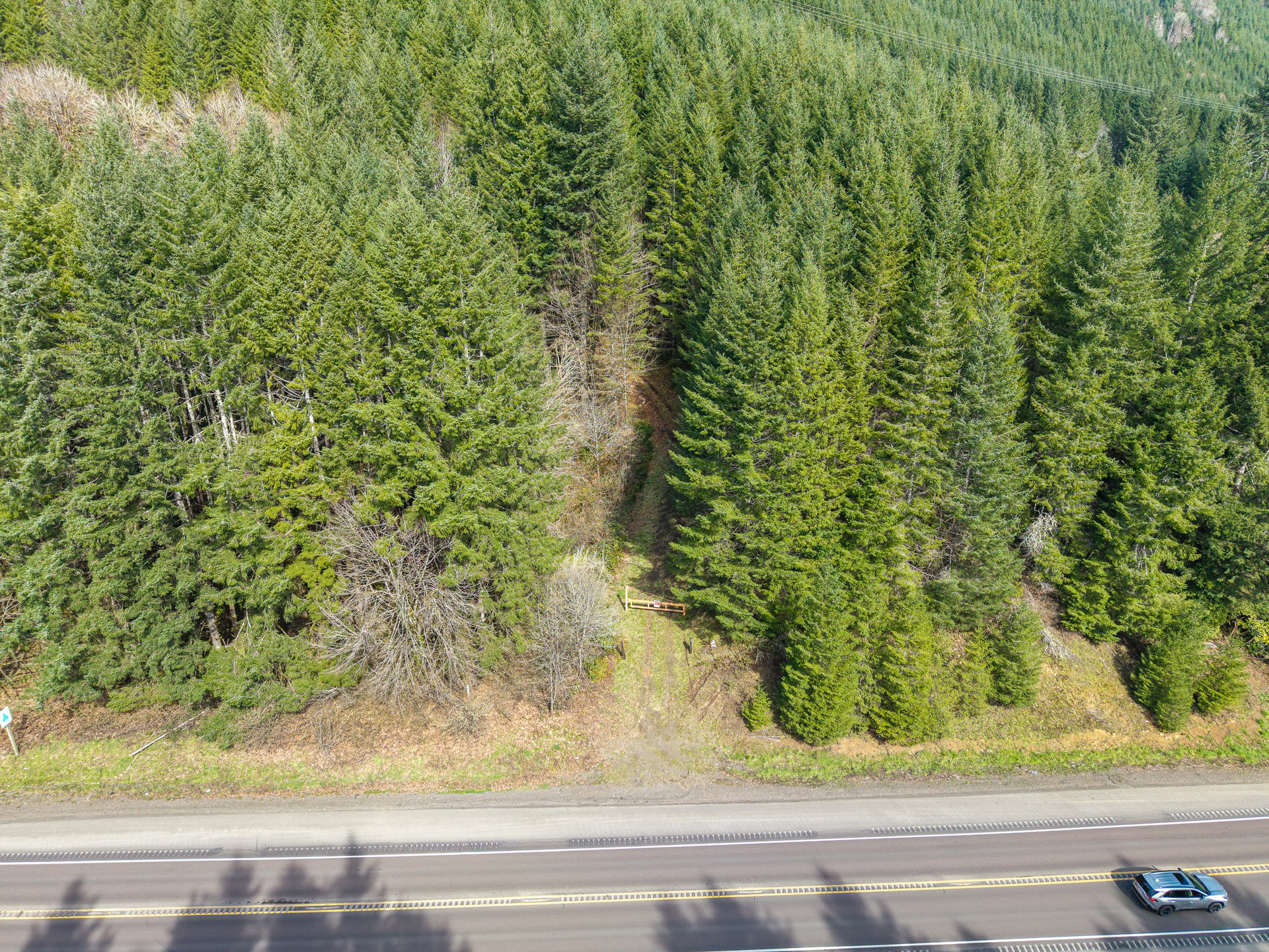 LITTLE ELK TREEFARM