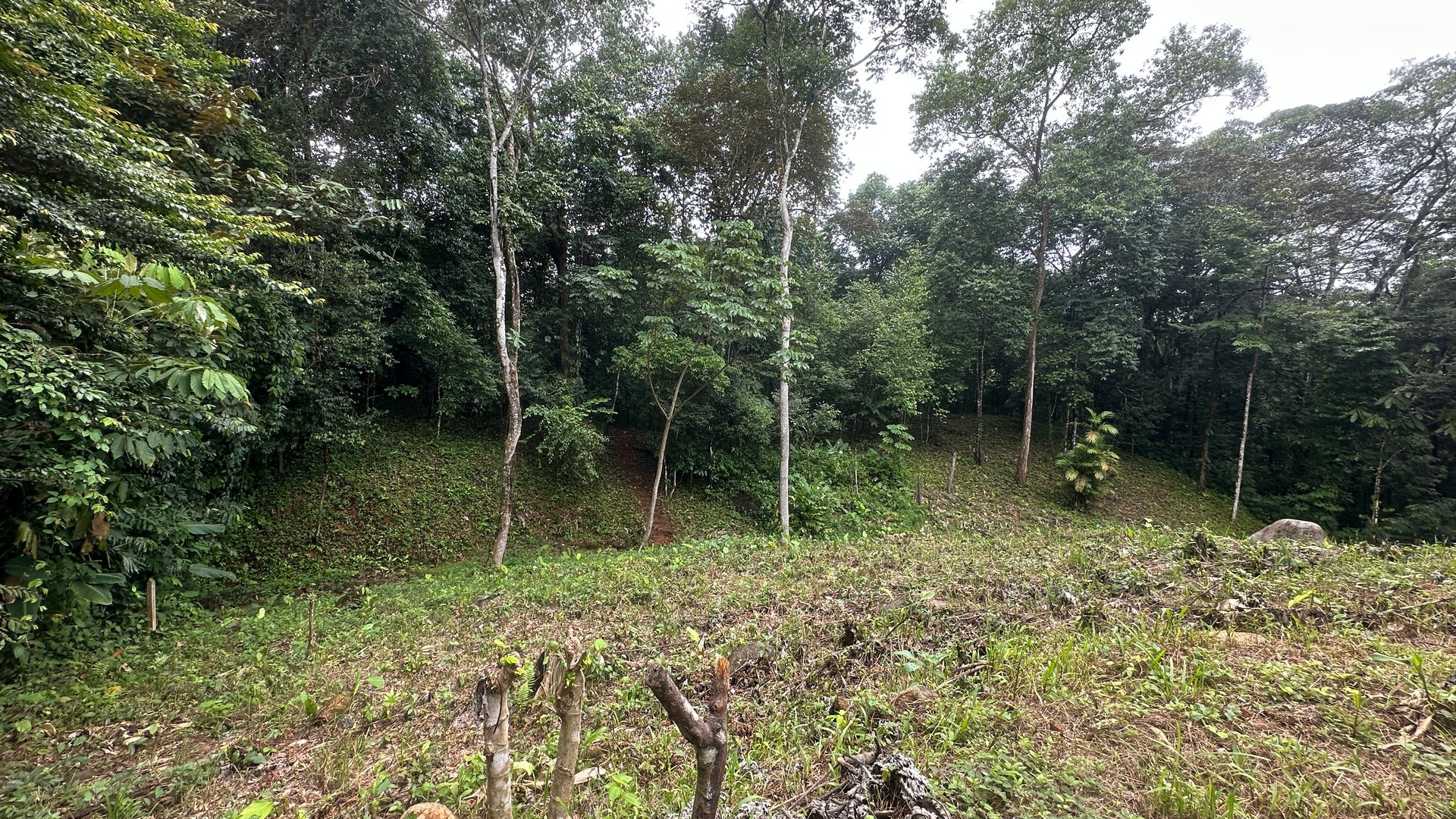 Ready to Build Ojochal Land with Riverfront 1.5 Acres, Residential and Commercial Possibilities!