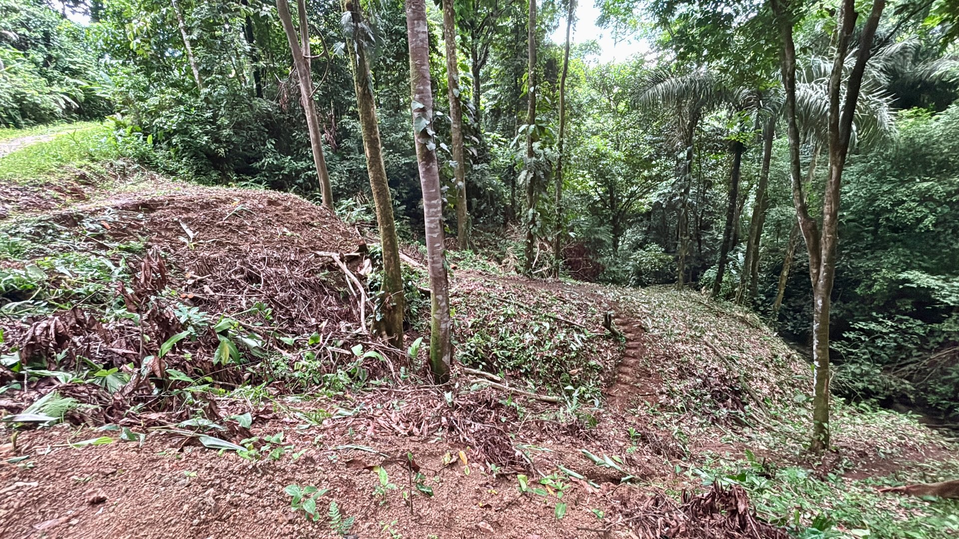 Unique property with creek and waterfall in lush jungle