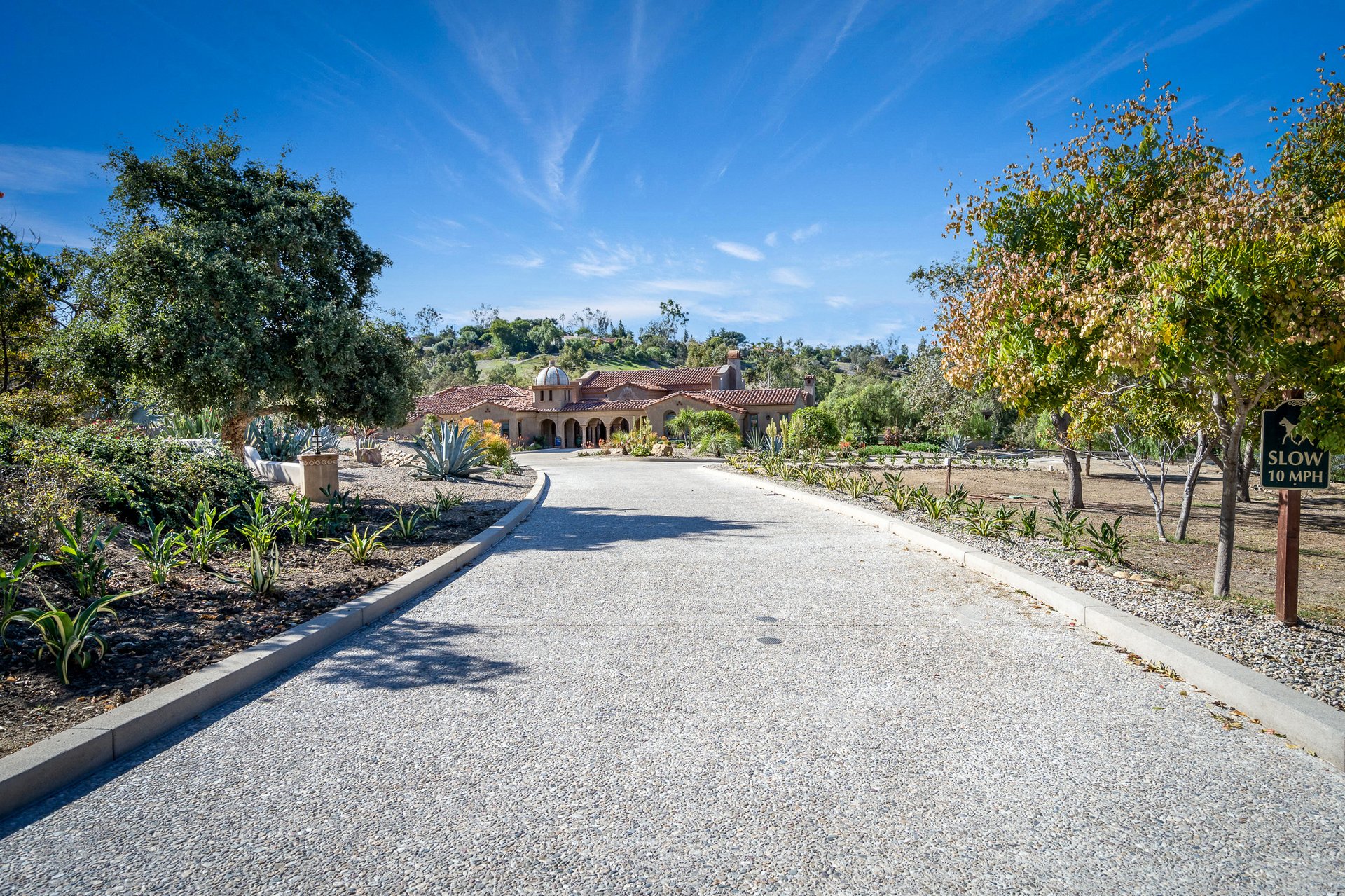Paradiso in The Ranch