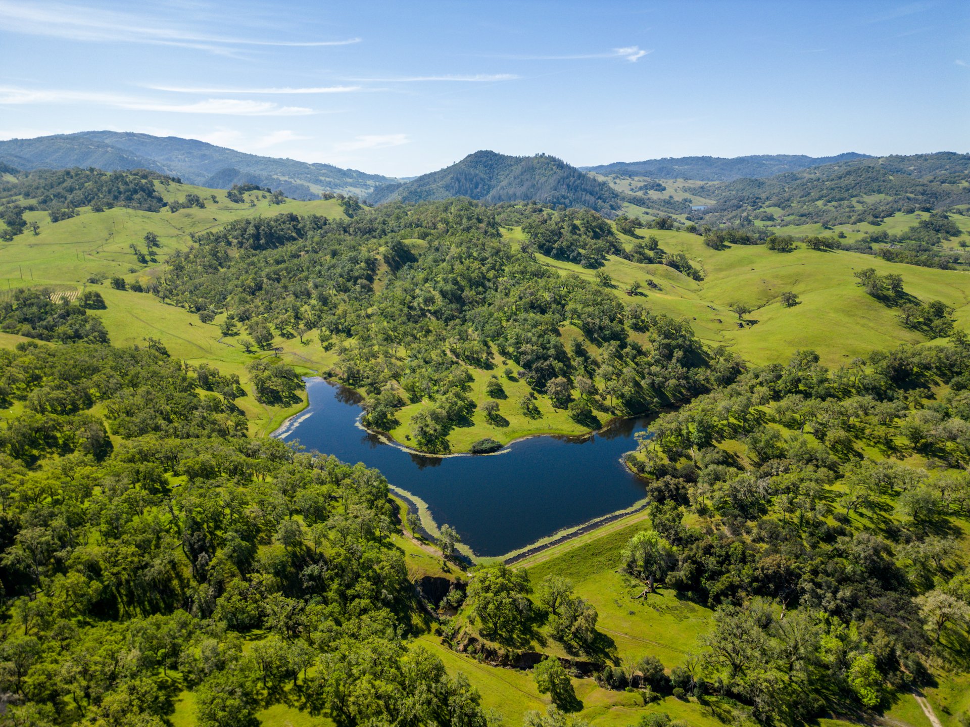 The Hopland Hills Ranch