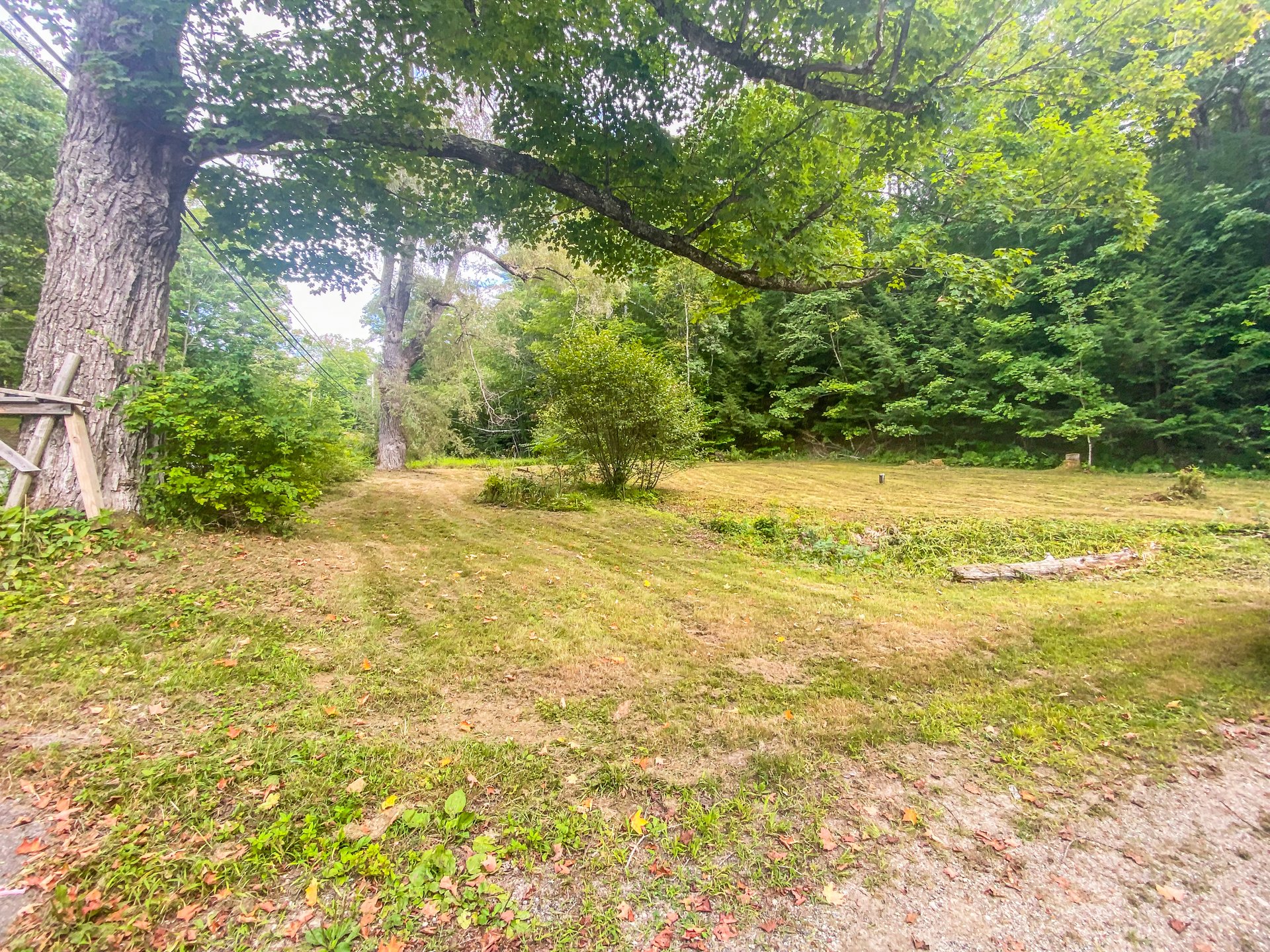 Rental Currently Available