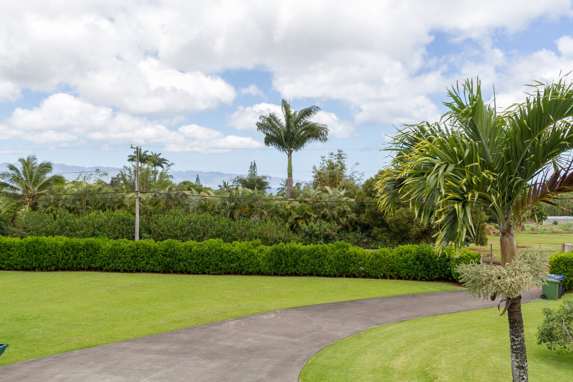 The Green Pineapple Estate