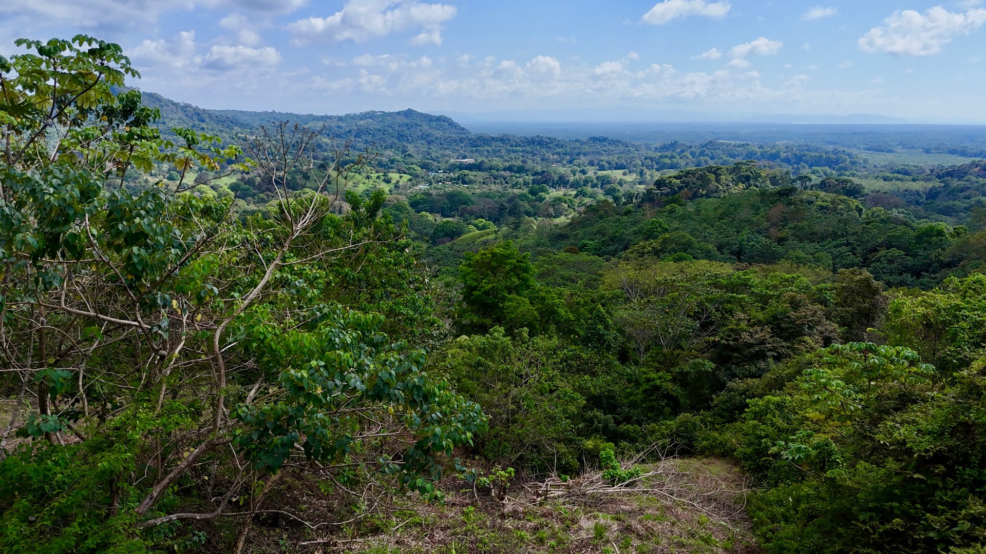 Price Reduced! Ocean View Lots in San Buenas – Just $70K Each