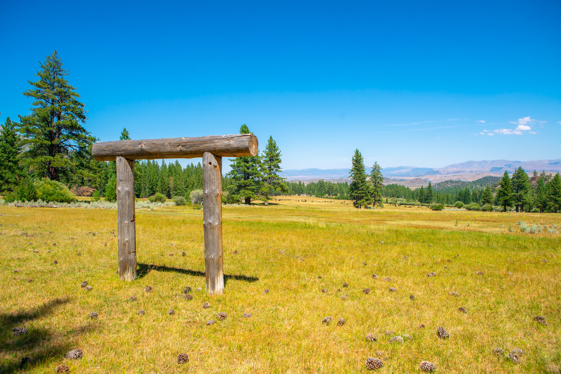 Randall Springs Ranch