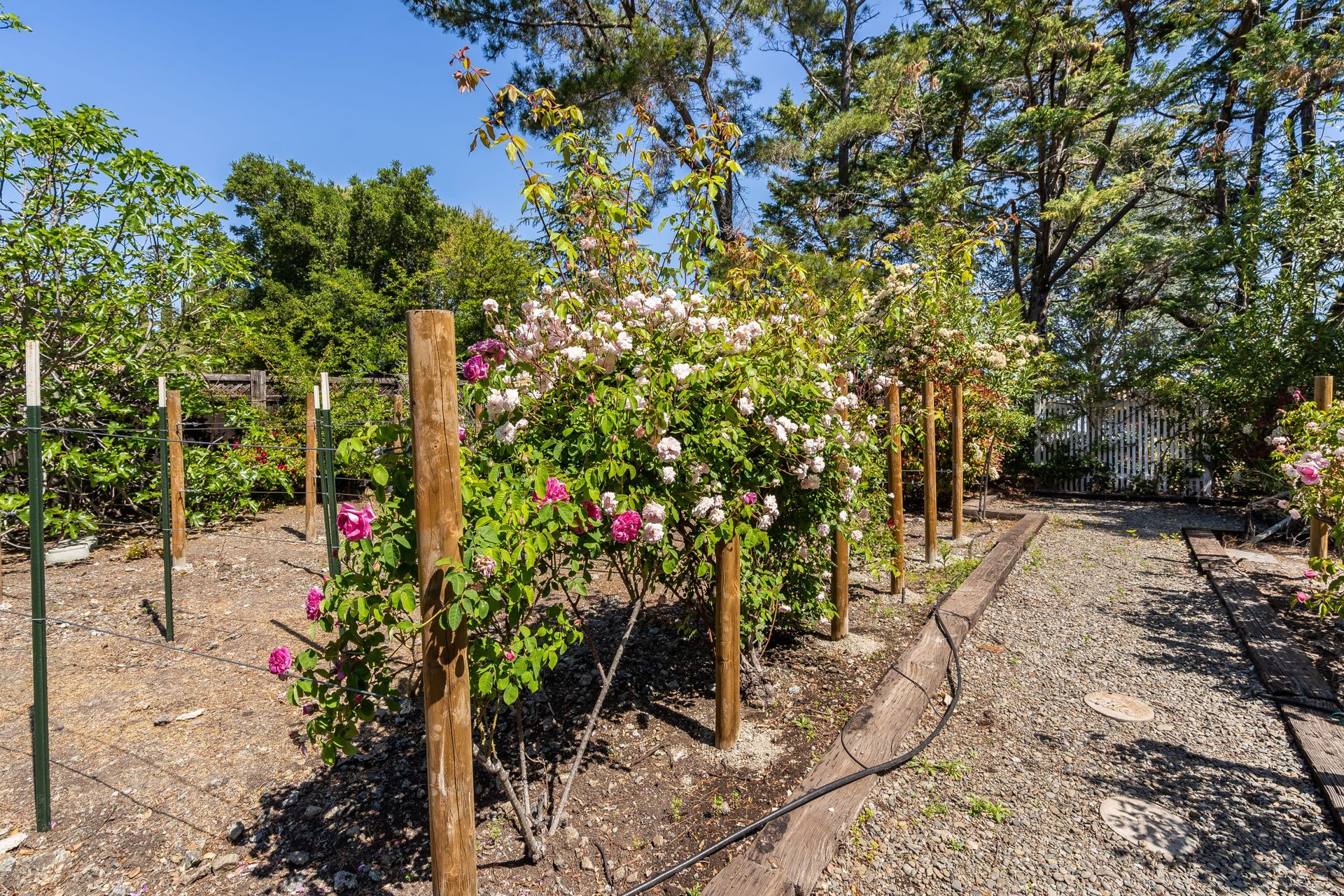 280 Ridgeway Road