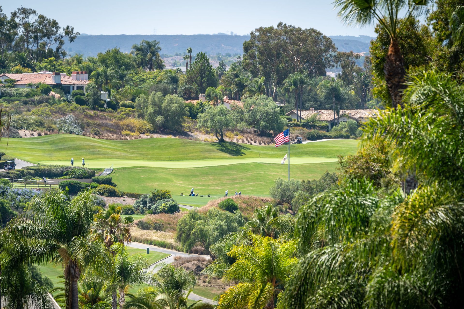 Above The Course & The Coast