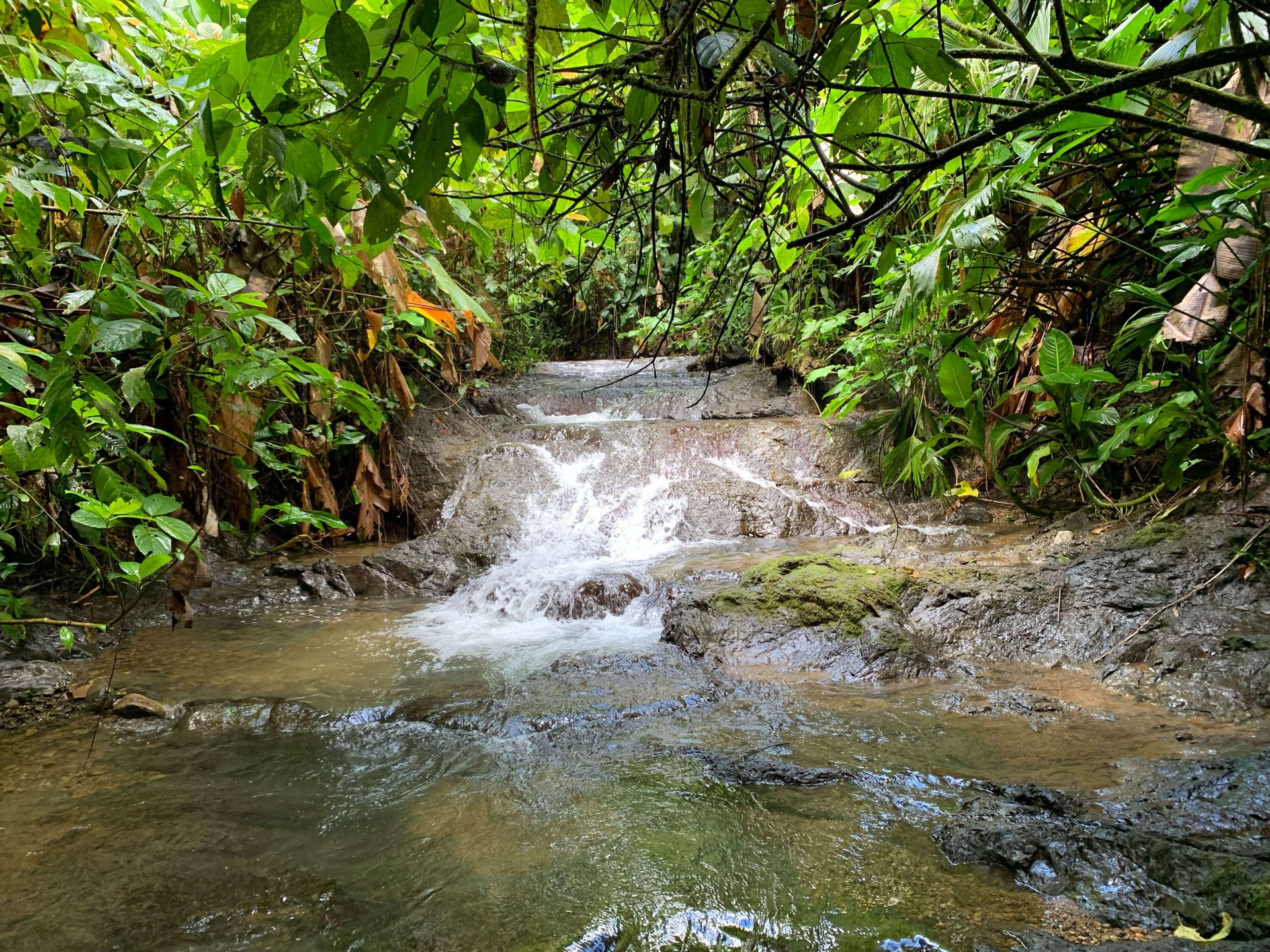 Mountain land with ocean view of Manuel Antonio/Quepos Quepos Puntarenas