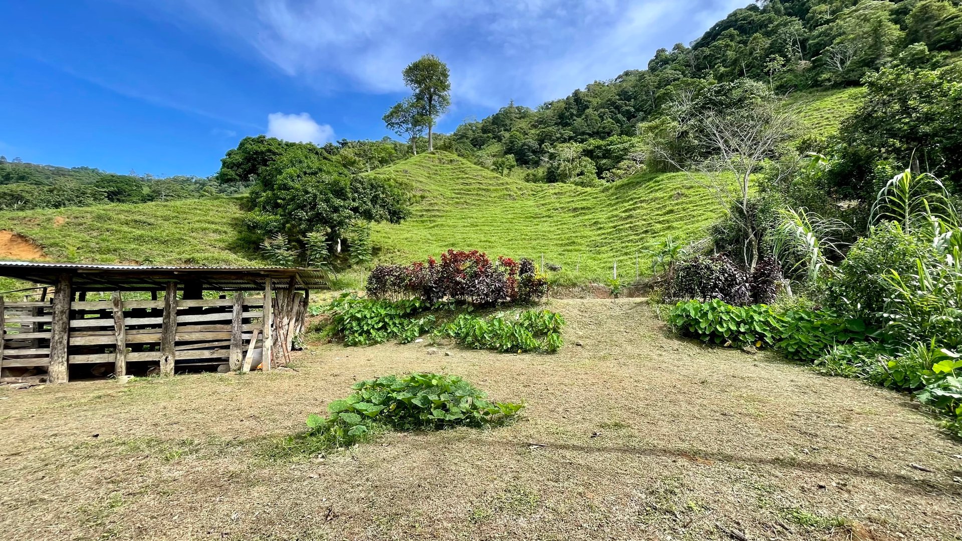 FIRE SALE!! Ocean View Farm in San Luis de Morete, Over 23 Acres