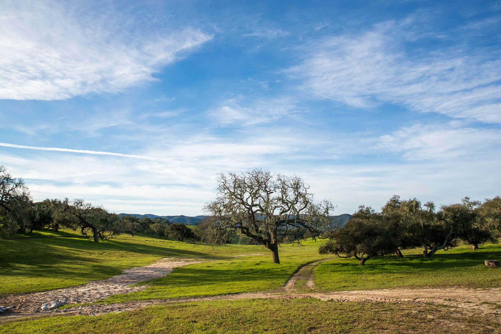 Rancho El Morro