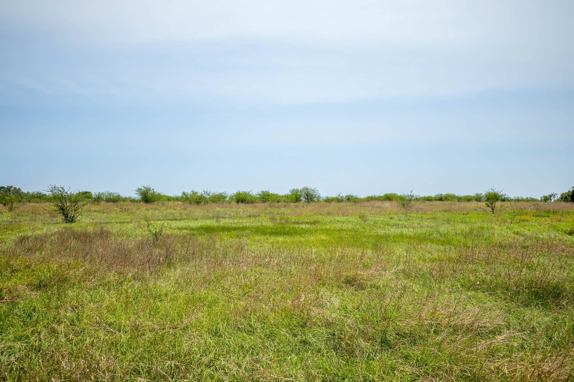 Green DeWitt Rd | 40.82± Acres | DeWitt County