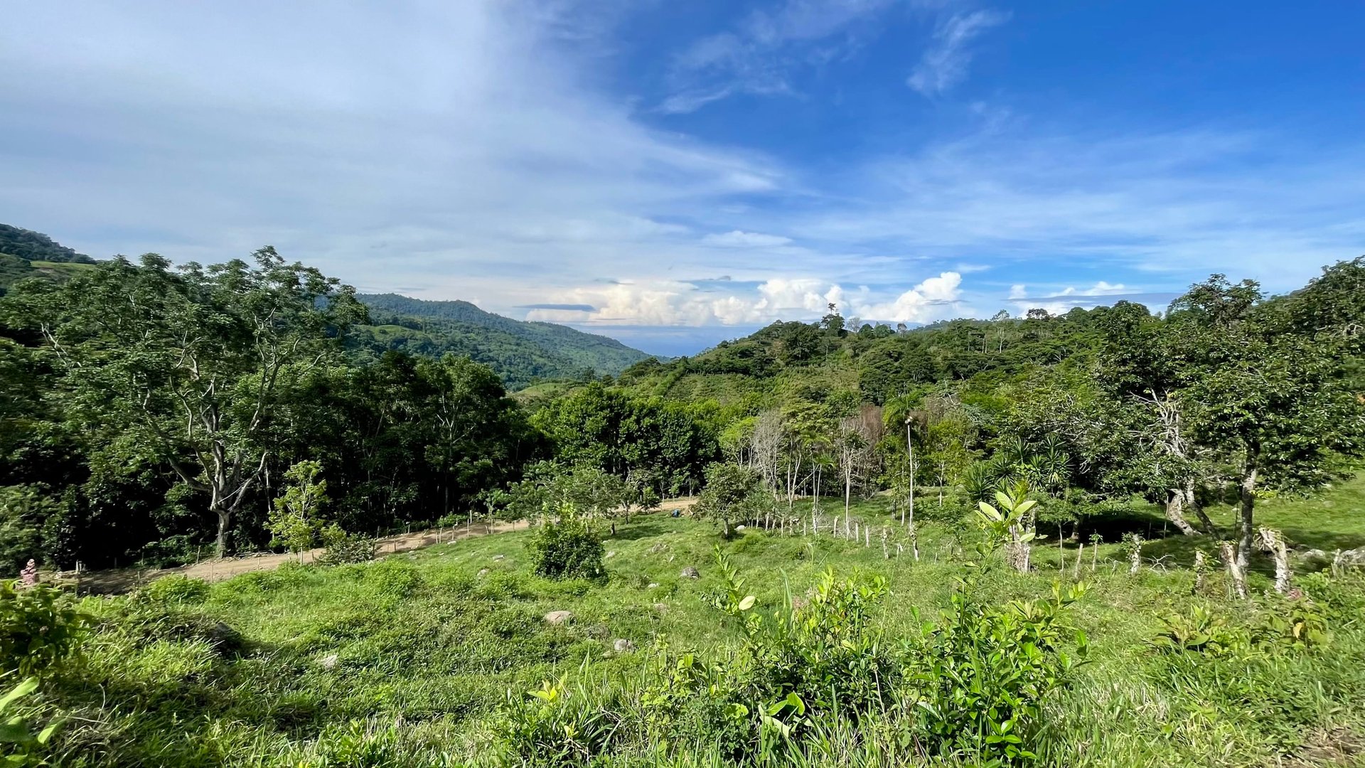 FIRE SALE!! Ocean View Farm in San Luis de Morete, Over 23 Acres