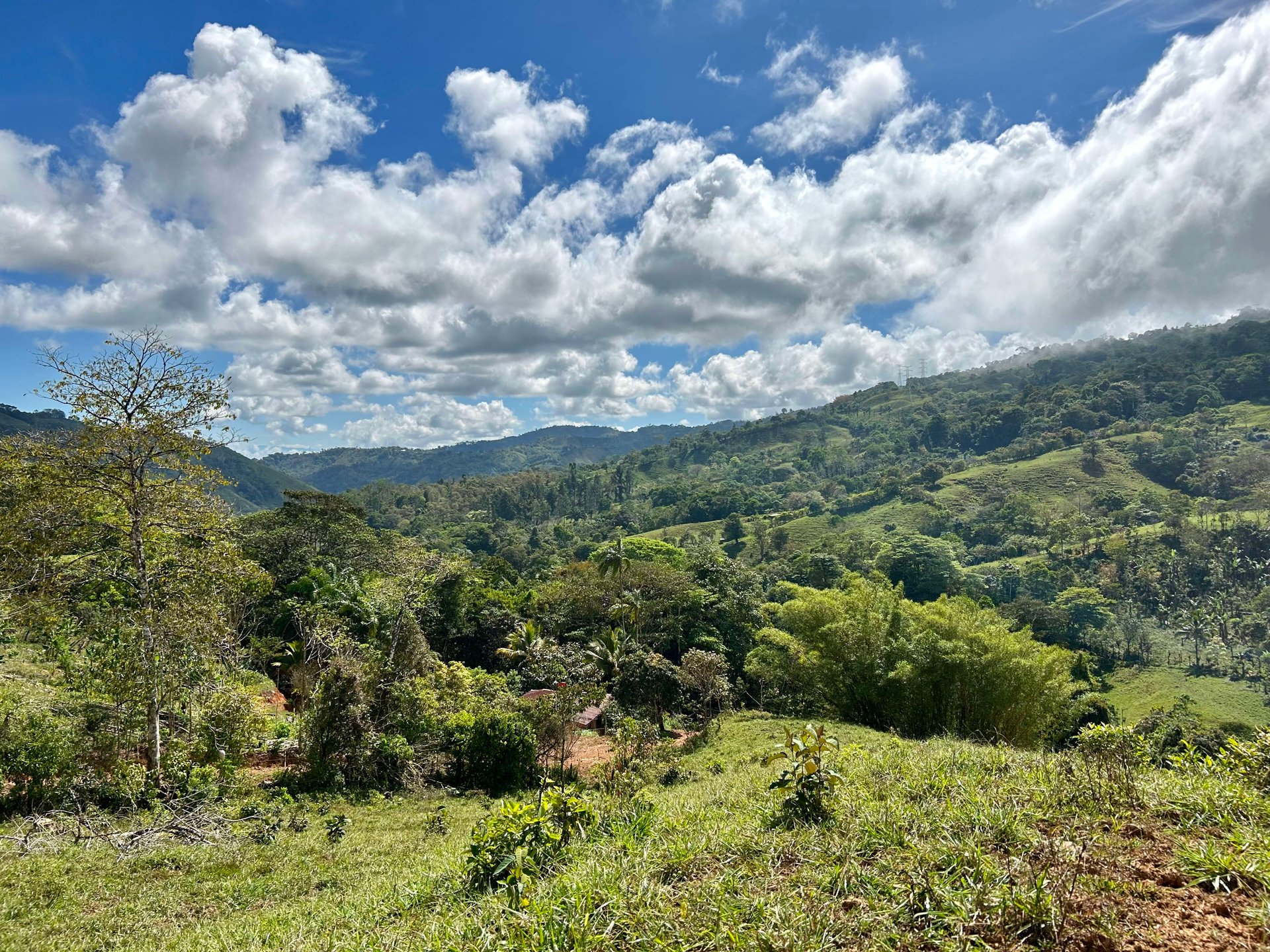 49 Acres Development Farm in San Luis with two Existing Homes 
