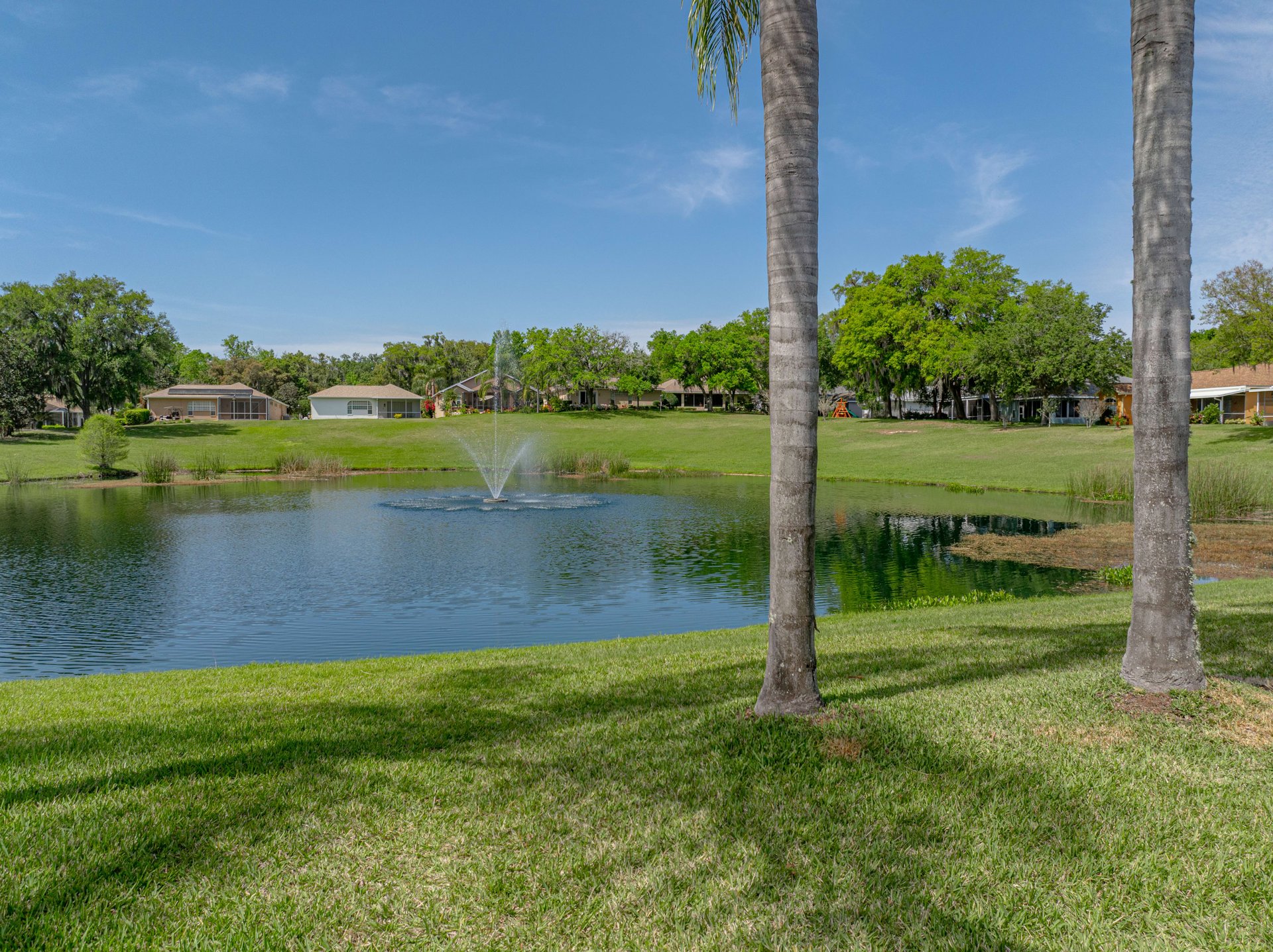 12419 WOODLANDS CIR