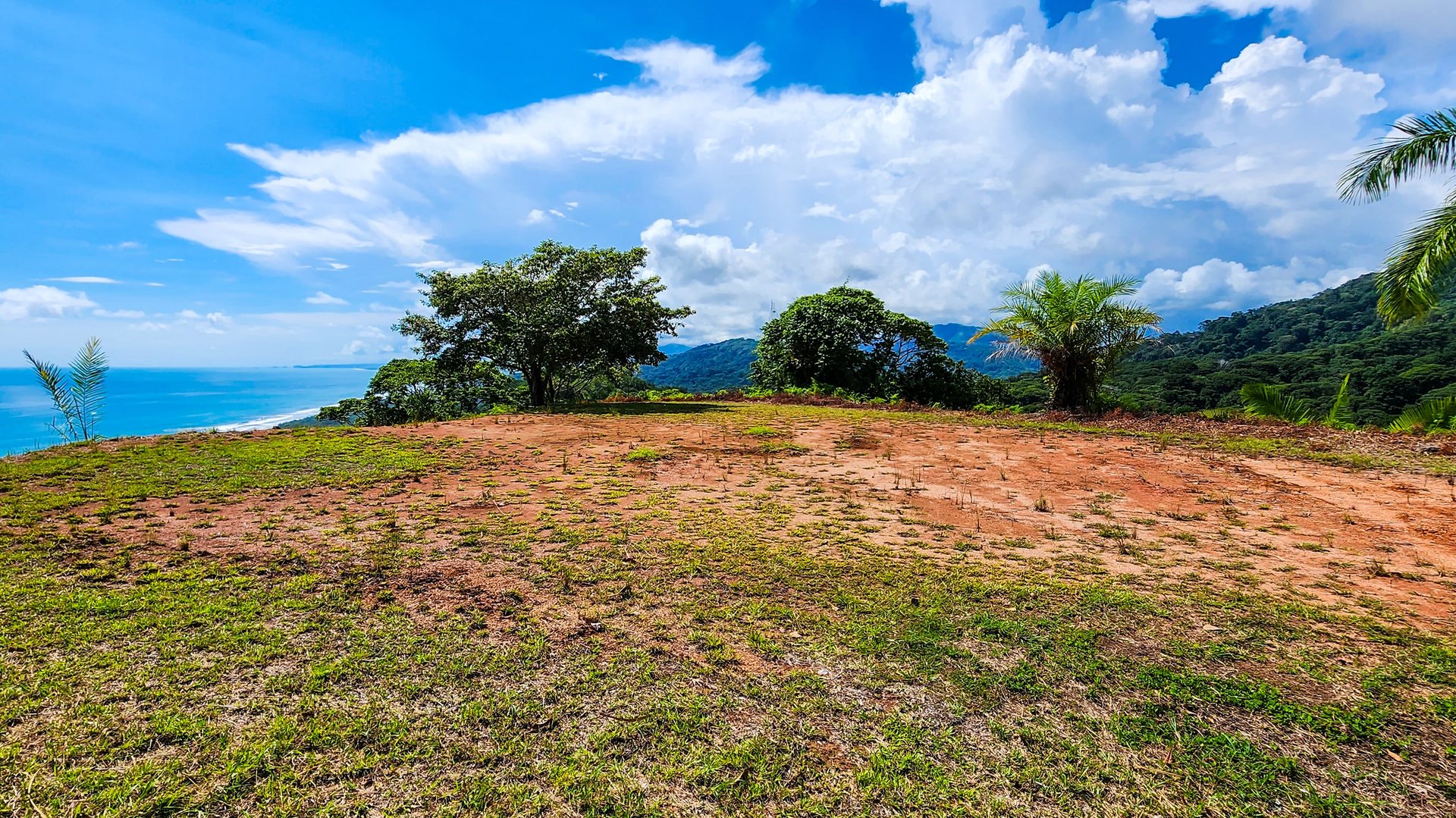 MANGO MANOR RIDGE PREMIER OCEAN VIEW PROPERTY IN DOMINICAL