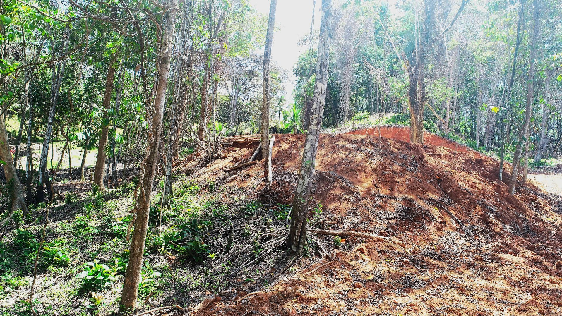 Over One Acre Attractive Lot on the Popular PEREZOSO Road.