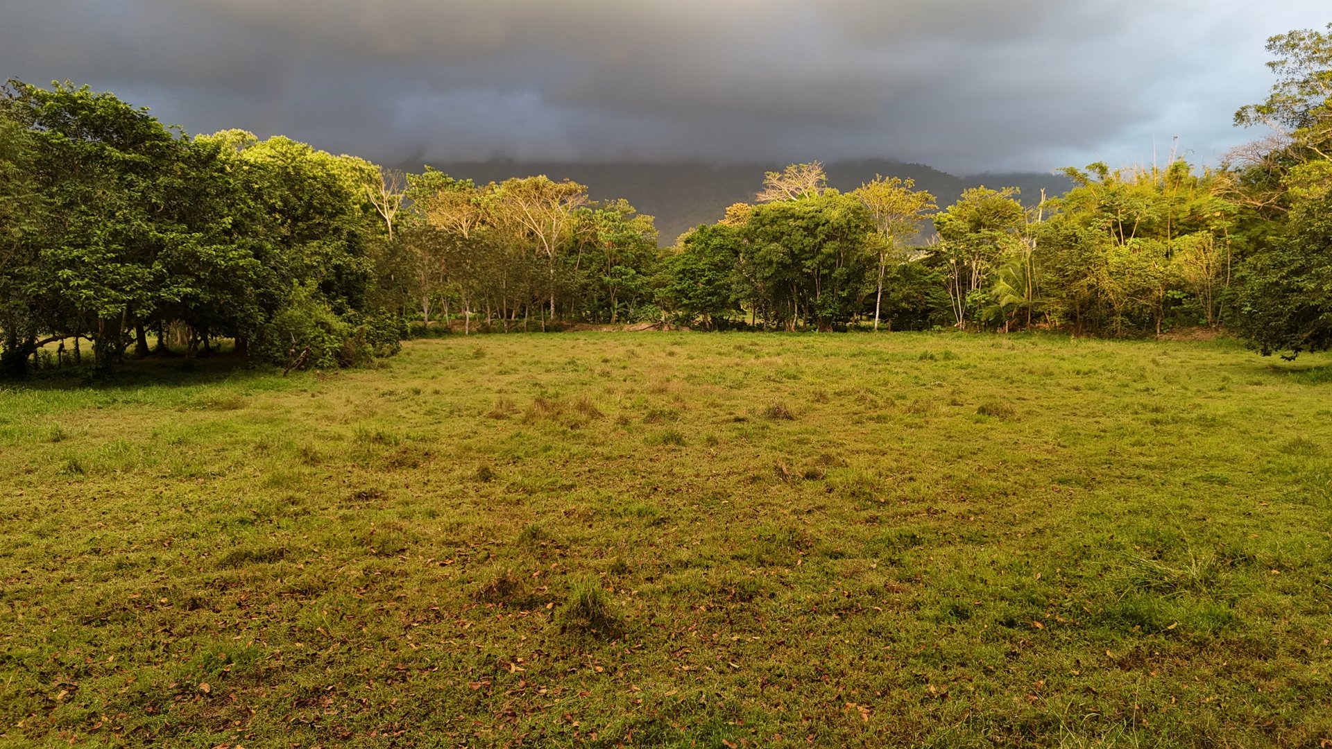 Over 5 Acres Farm in San Buenas