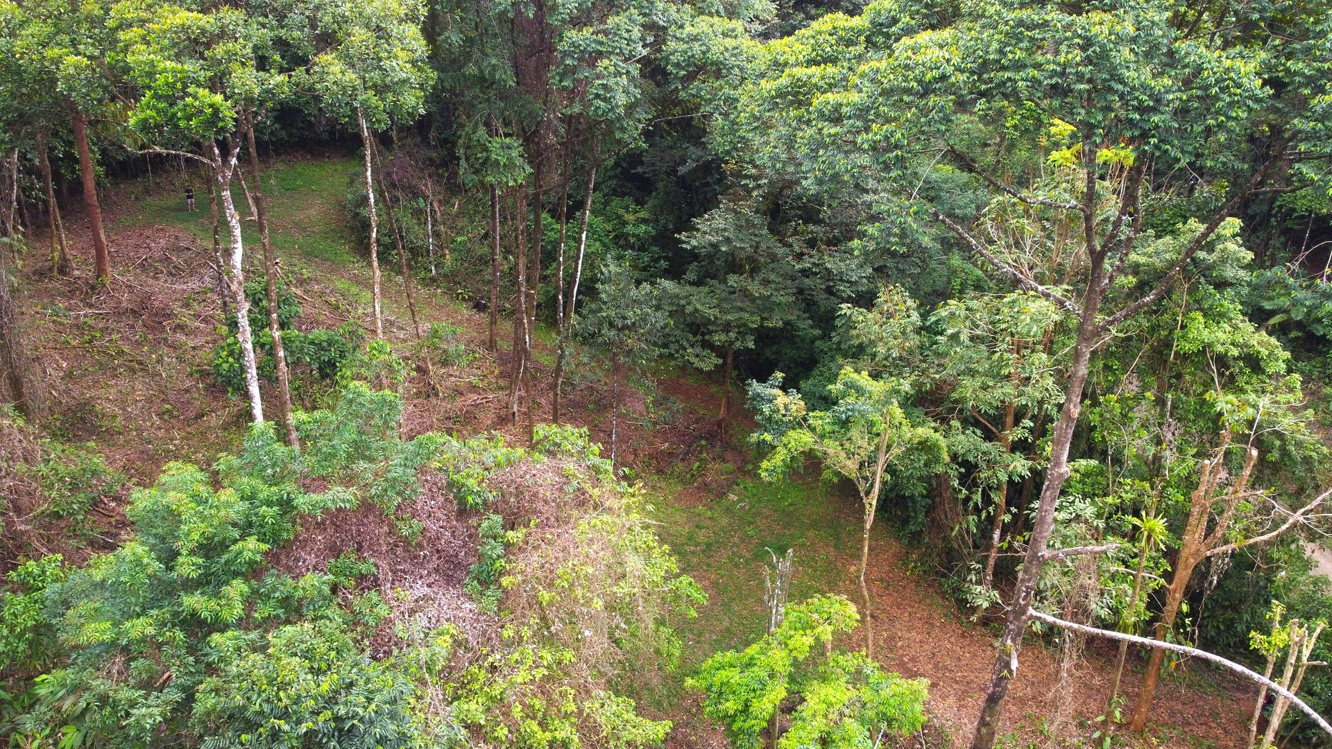 Mountain View Building Lot in Prestigious Gated Community With Private Waterfall & Two Building Sites