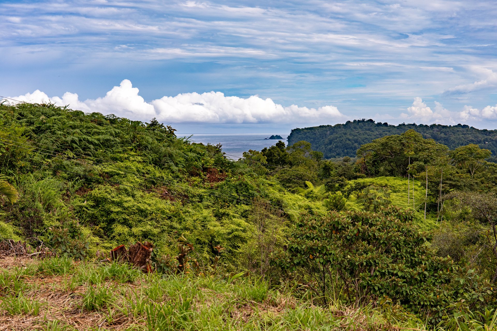 Ocean, Mountain View Ready to Build Lot on Desired Calle Perezoso