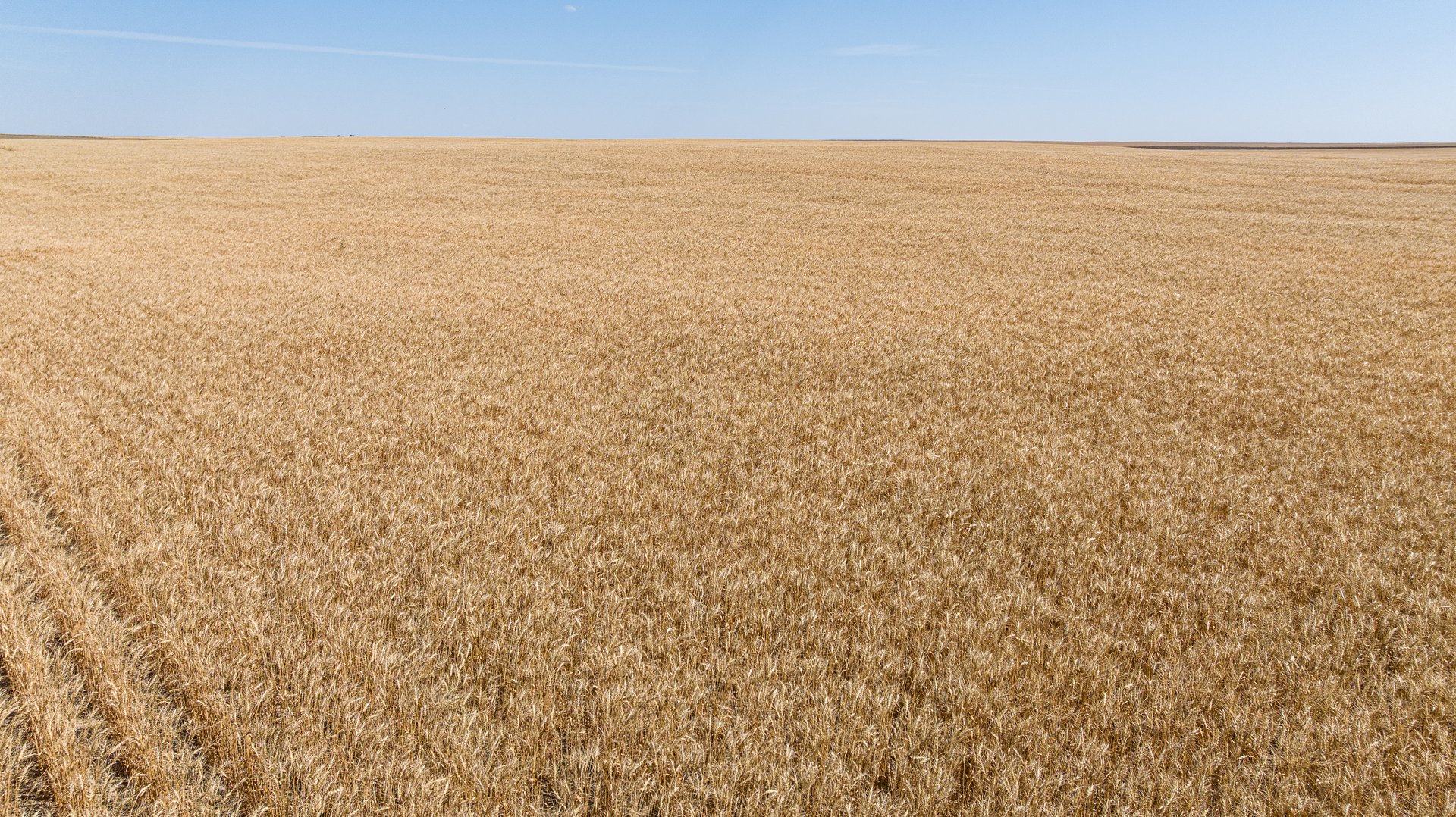 Hill County Organic & CRP Farm