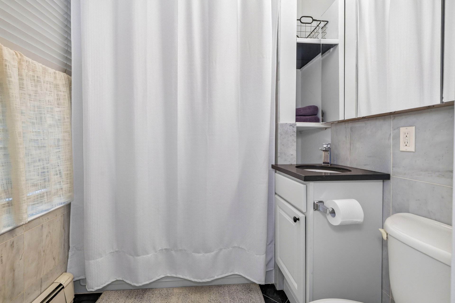 33 E Springfield Unit 1