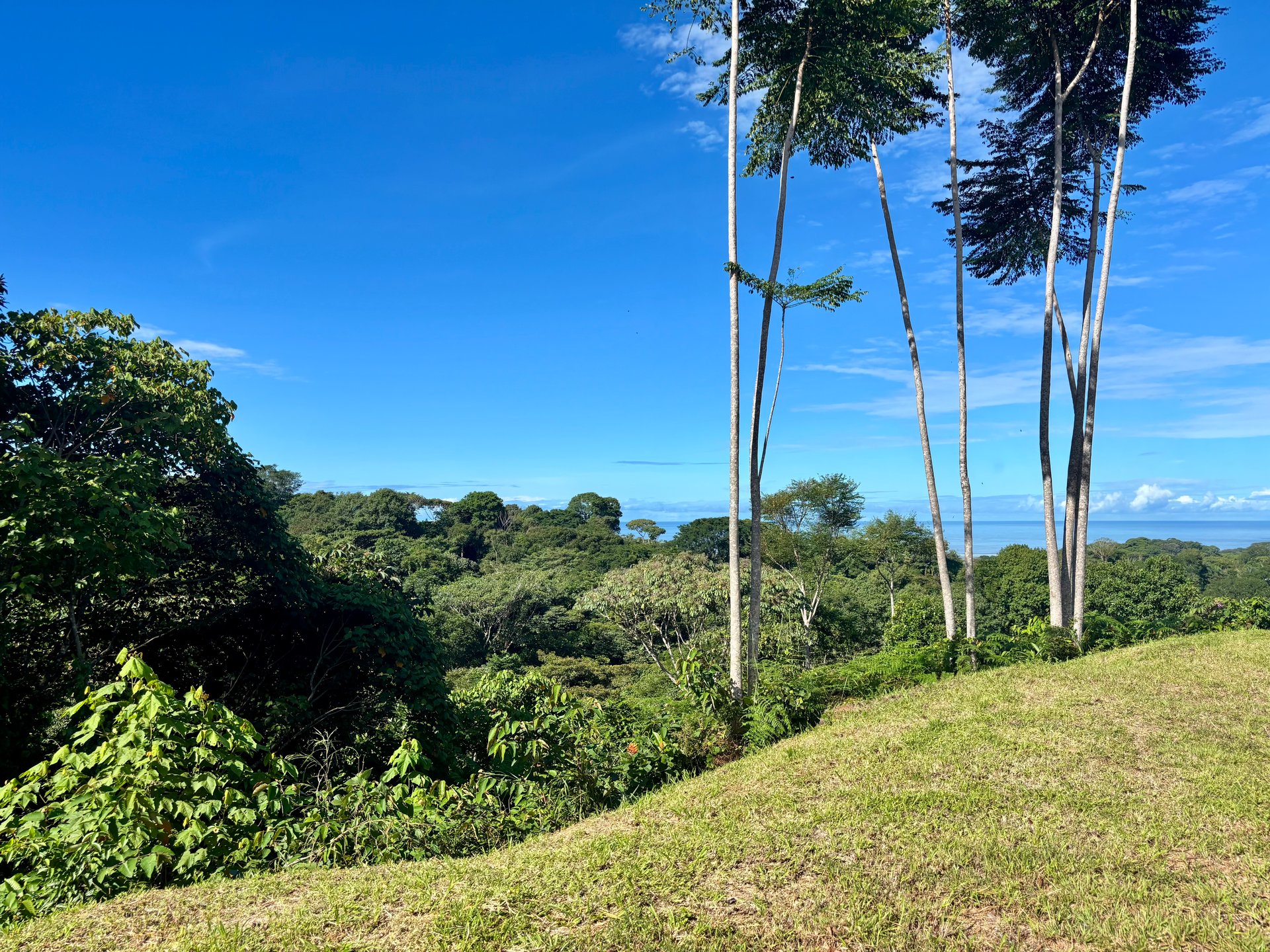 3.41 Acres, Ocean View Property In Ojochal With Legal Water!