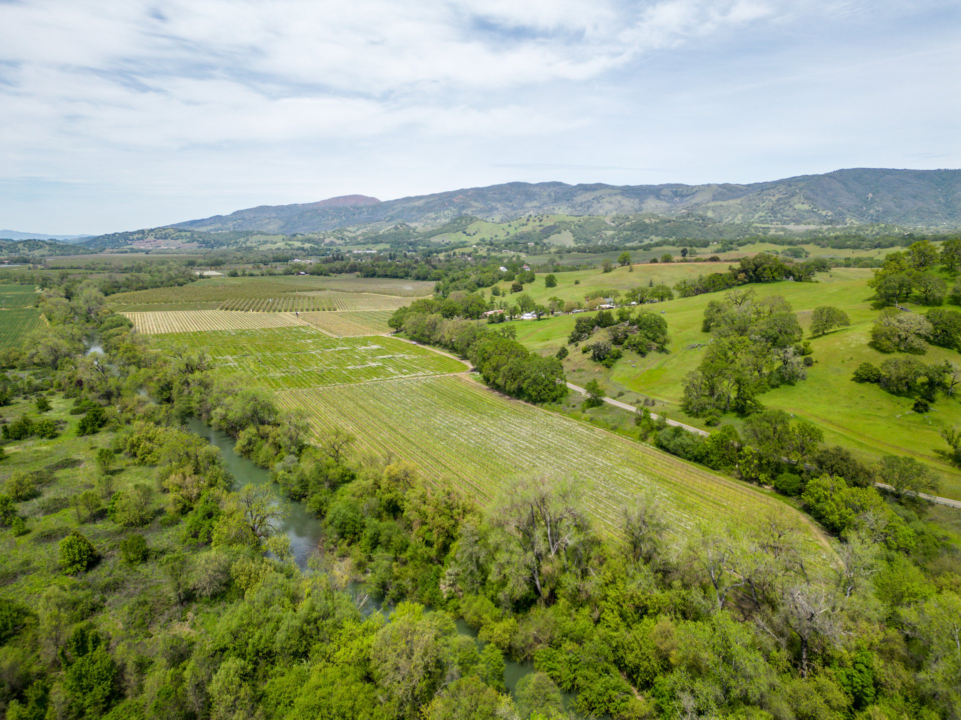 The Hopland Hills Ranch