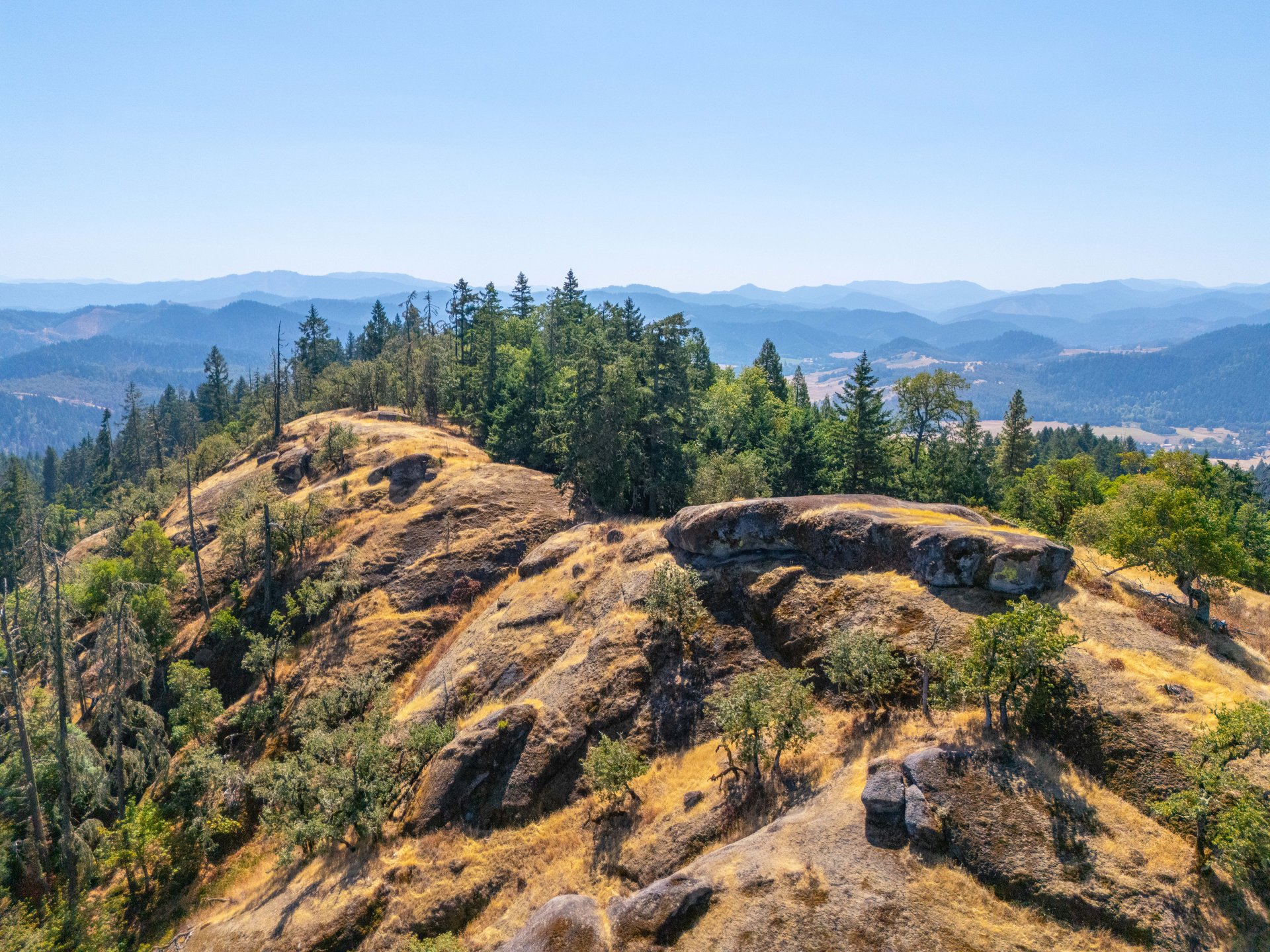 STRICKLAND BOULDER FOREST