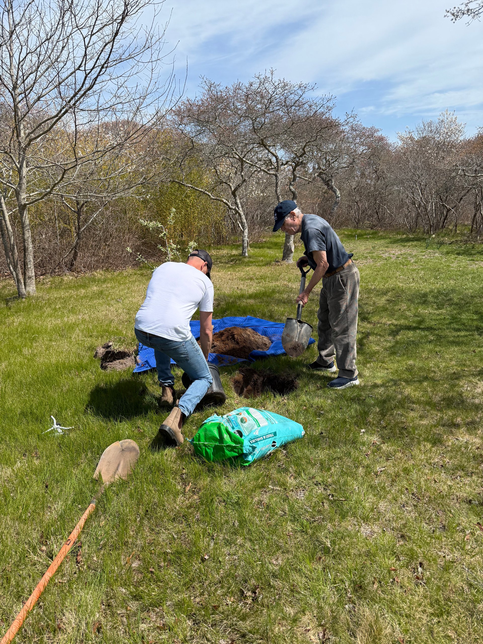 Tuck and Pasquale Planting Trees