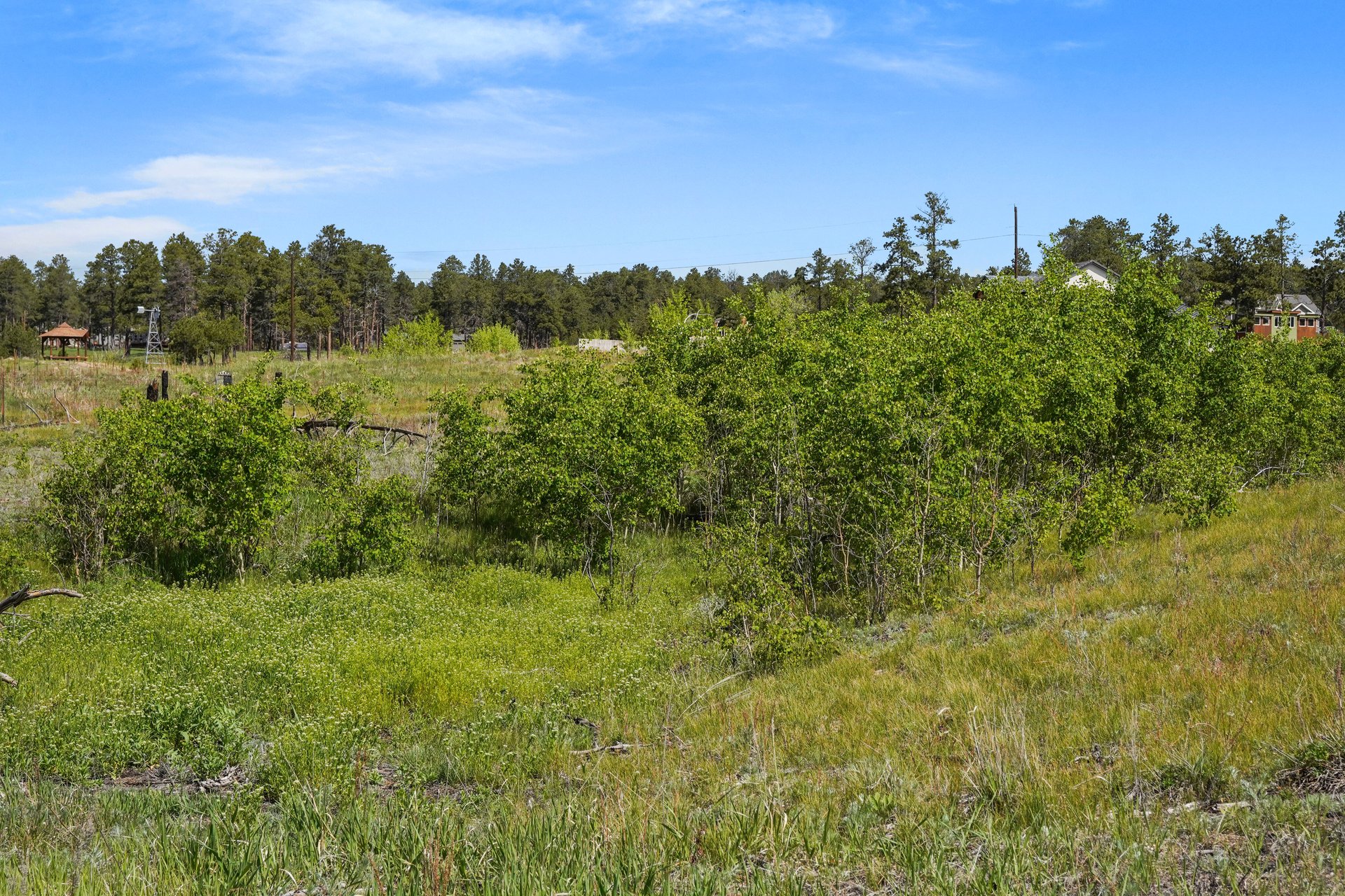 TBD Holmes Road