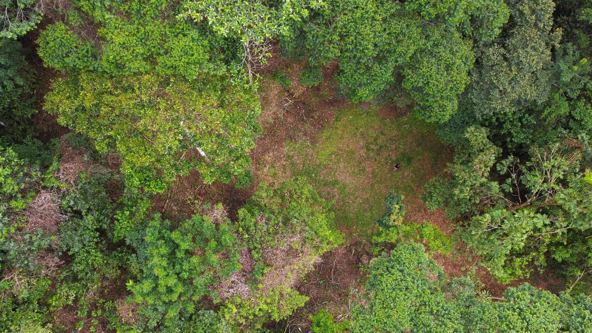 Mountain View Building Lot in Prestigious Gated Community With Private Waterfall & Two Building Sites