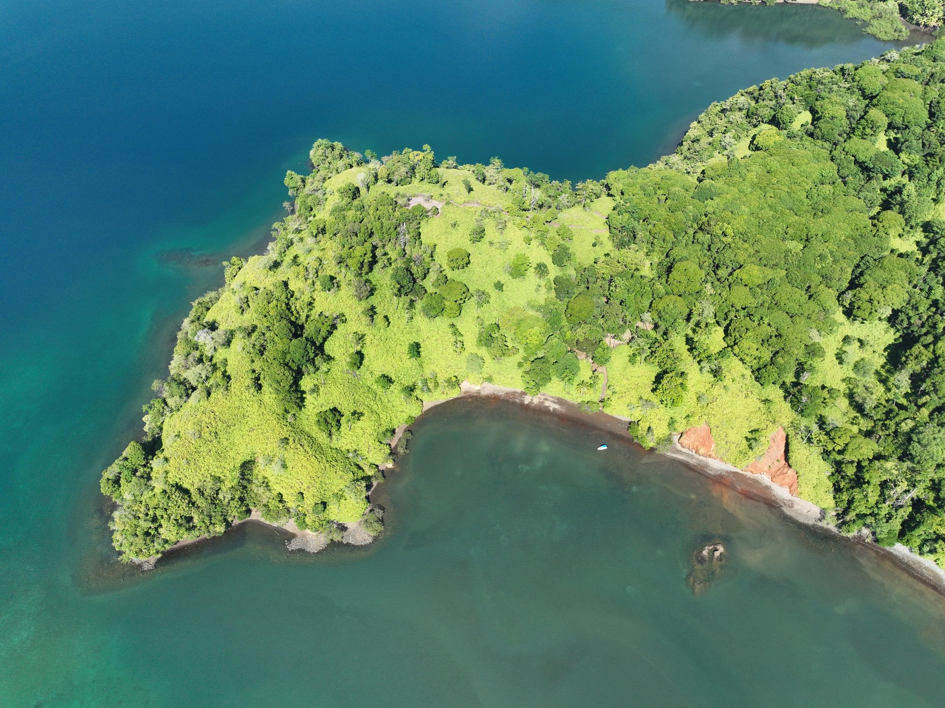 Jungle Islands — Los Mogos