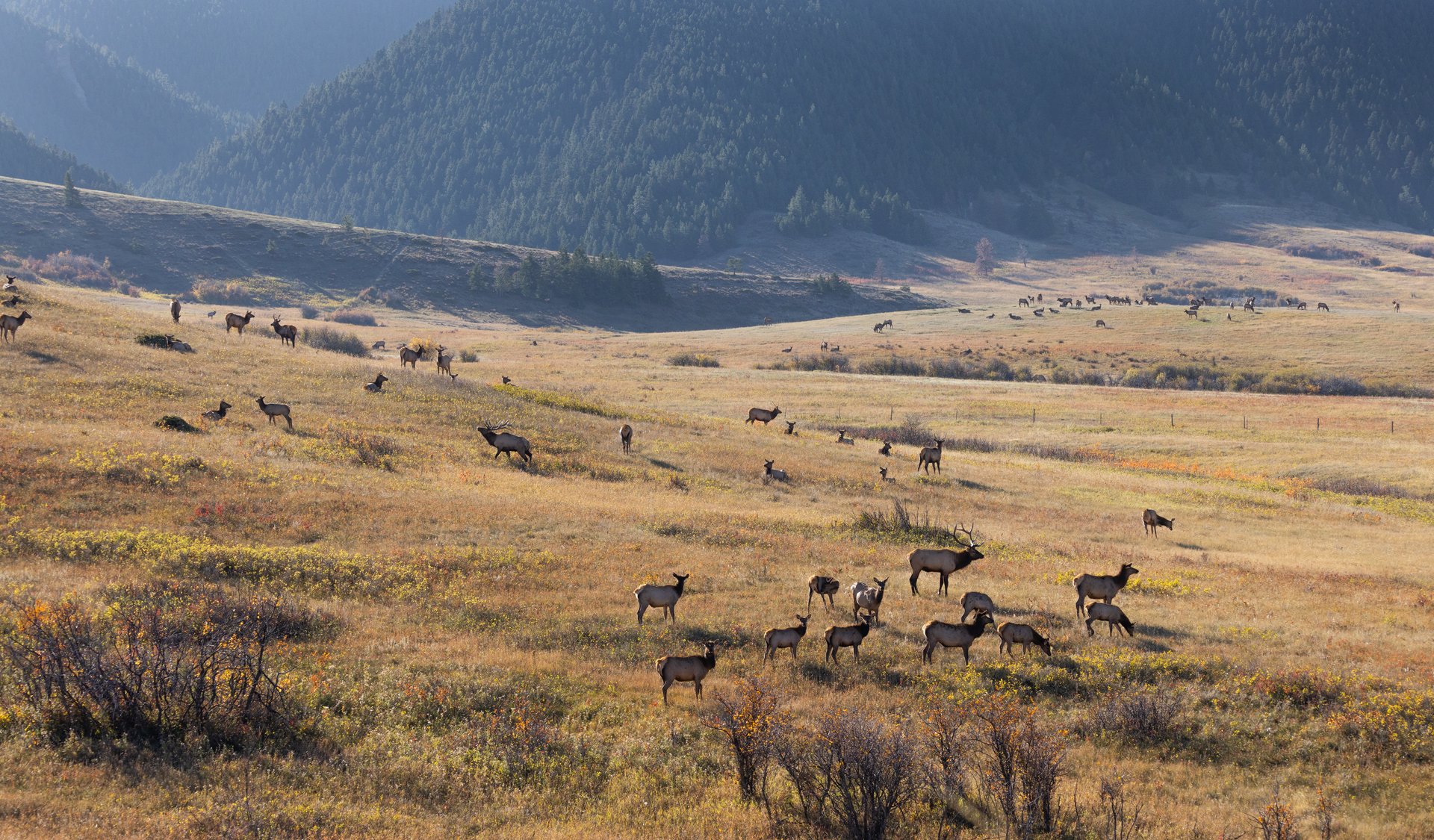 Box Elder Ranch