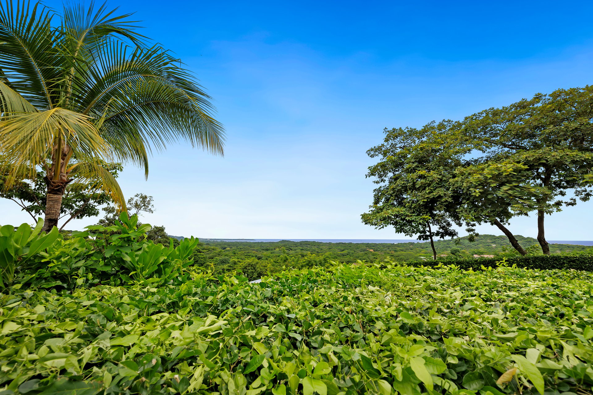 Casa Garza Unit 34 | Contemporary Ocean-View Home with Saltwater Pool in Las Ventanas de Playa Grande, Costa Rica