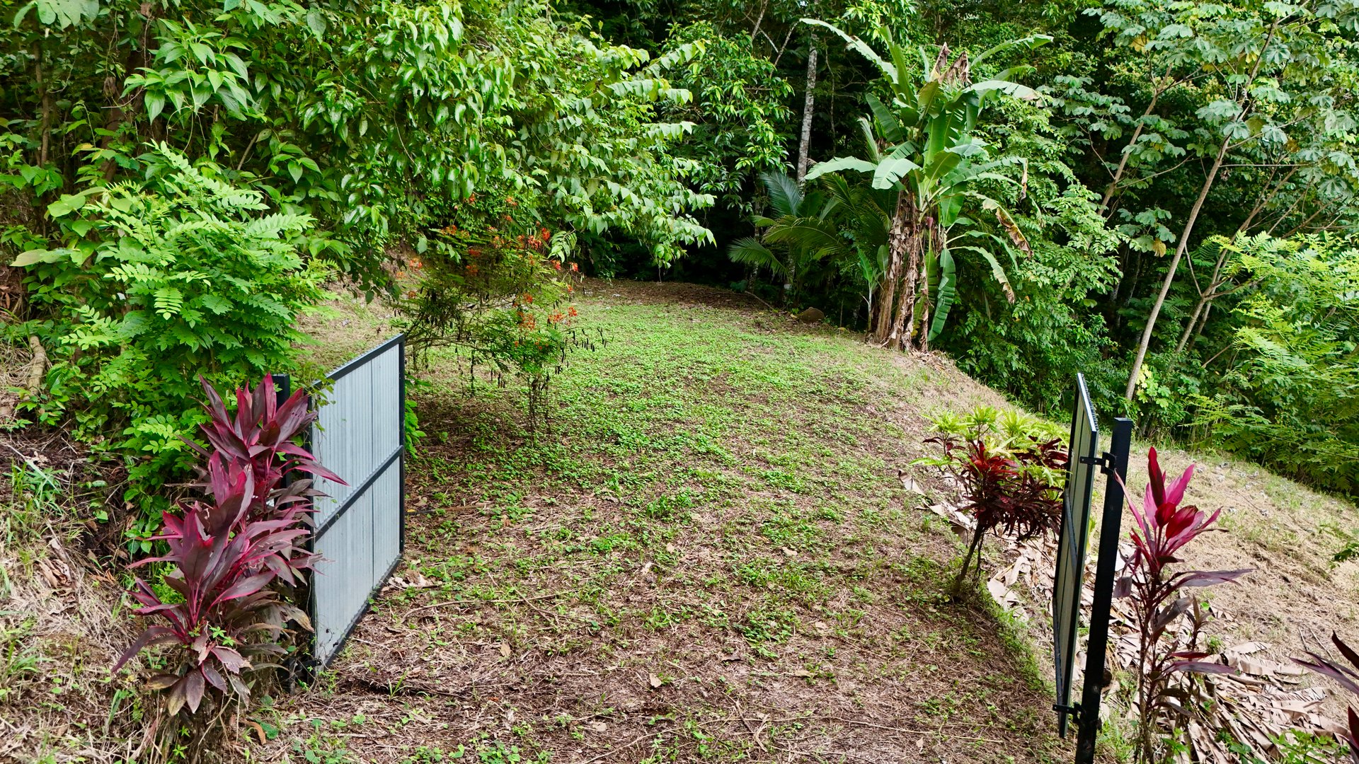 Tres Ríos Jungle Sanctuary | Ready-to-Build Lot Surrounded by Nature