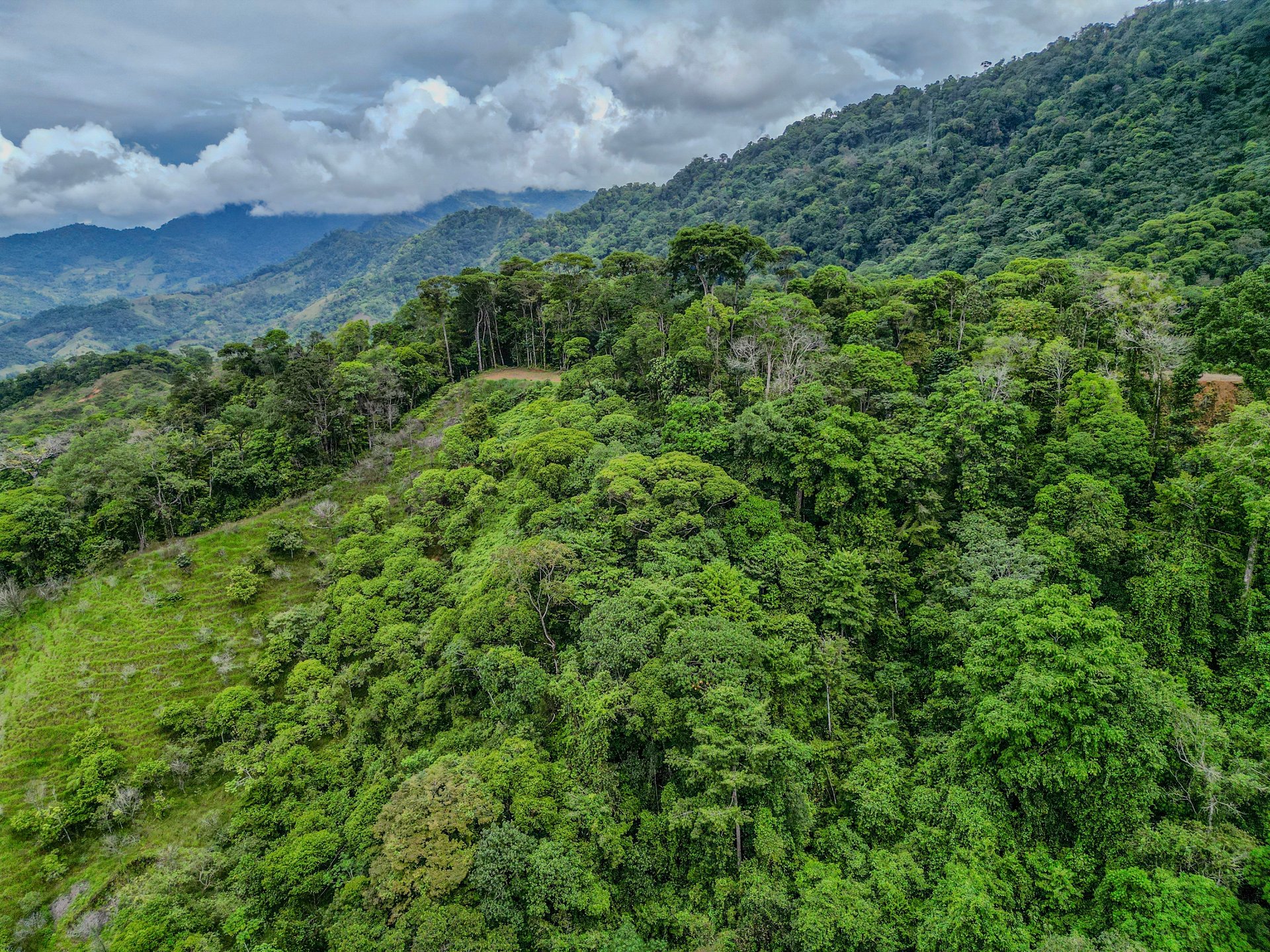 59.35 ACRES- Ocean And Mountain View Land, 6 Building Areas, Legal Water, Public Road, 20min From Beaches!!!