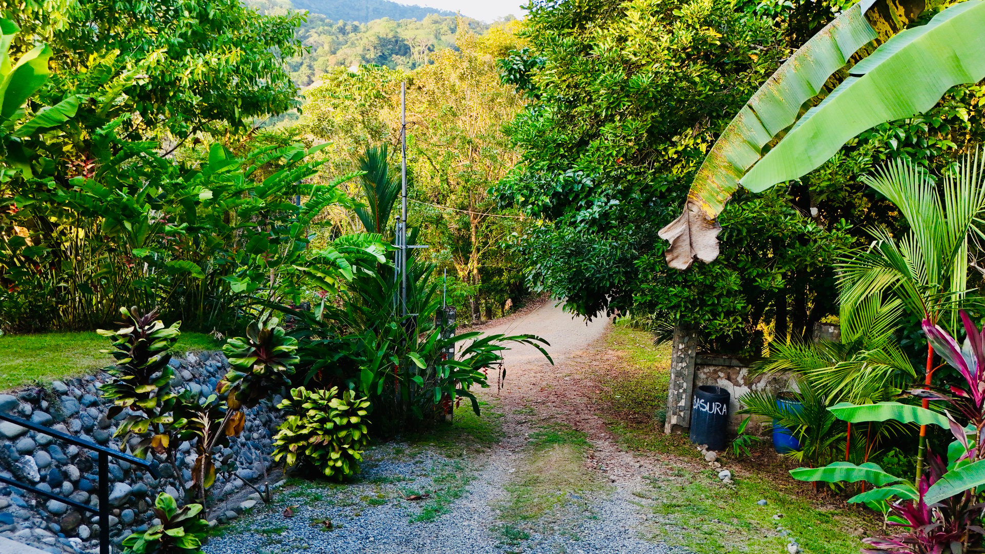 Tropical 2BR Home Near Playa Hermosa Beach | Successful Airbnb Rental in Uvita