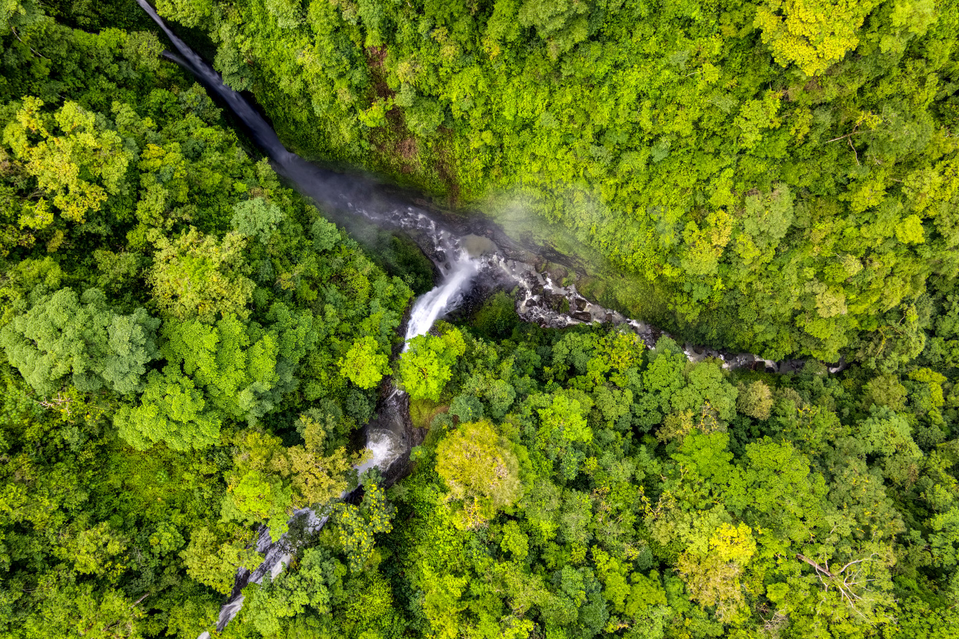 Once in a Lifetime Waterfall Farm in a Pristine Biological Corridor