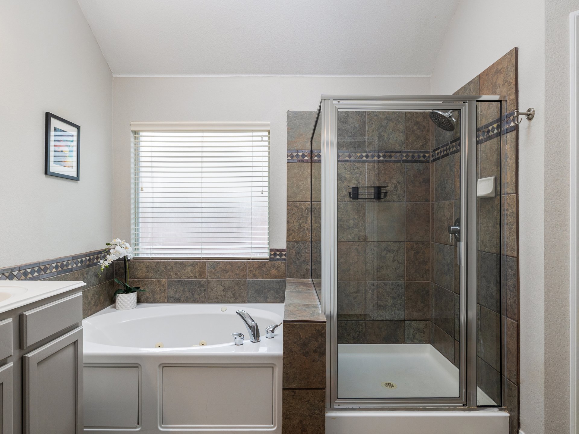 Greenbelt Retreat w/ Pool + Spa | Updated Single-Story in Canyon Creek