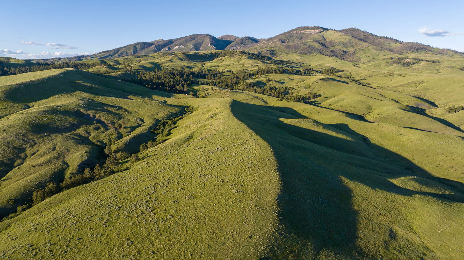 Big Spring Legacy Ranch