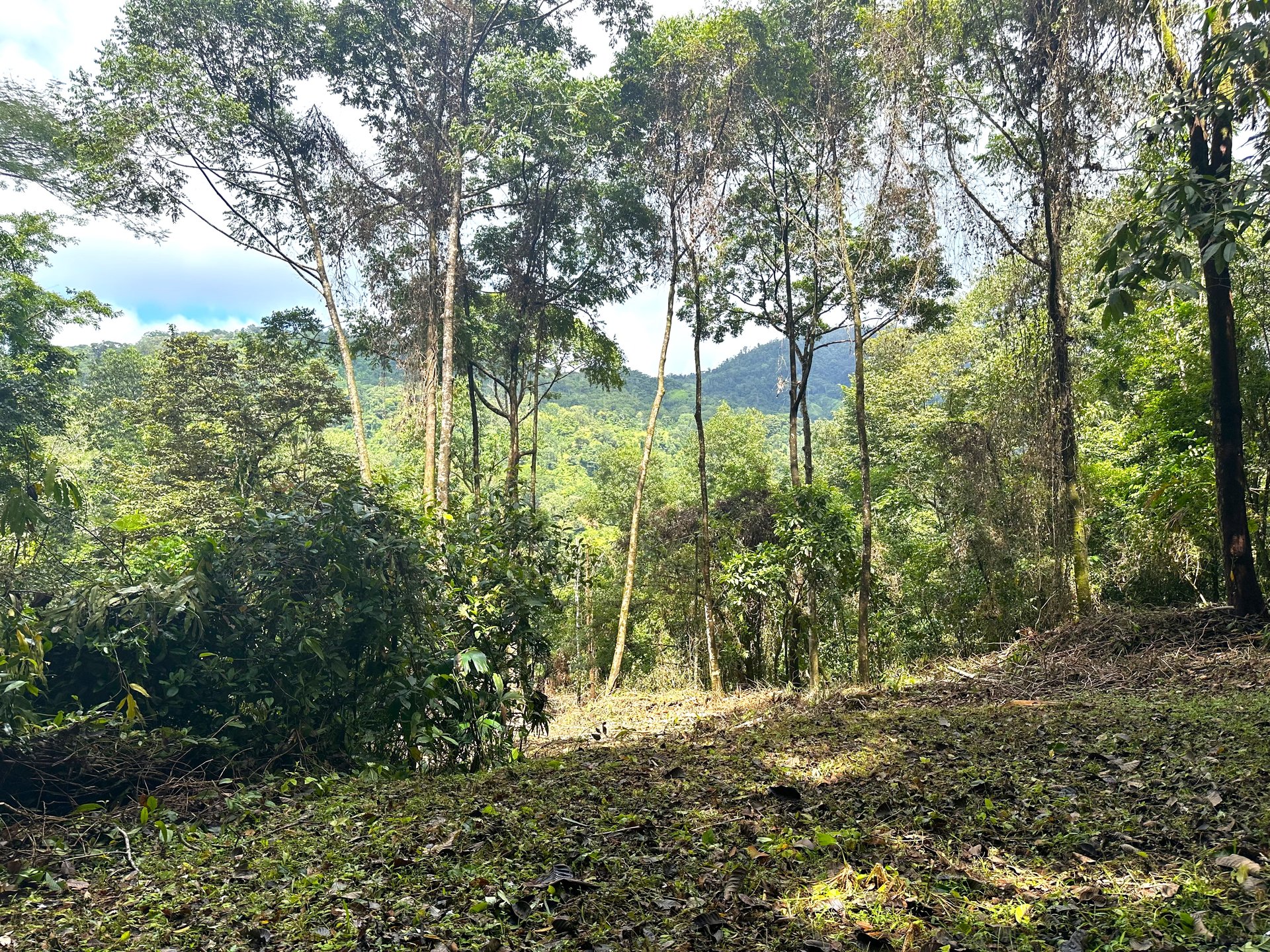Mountain View Building Lot in Prestigious Gated Community With Private Waterfall & Two Building Sites