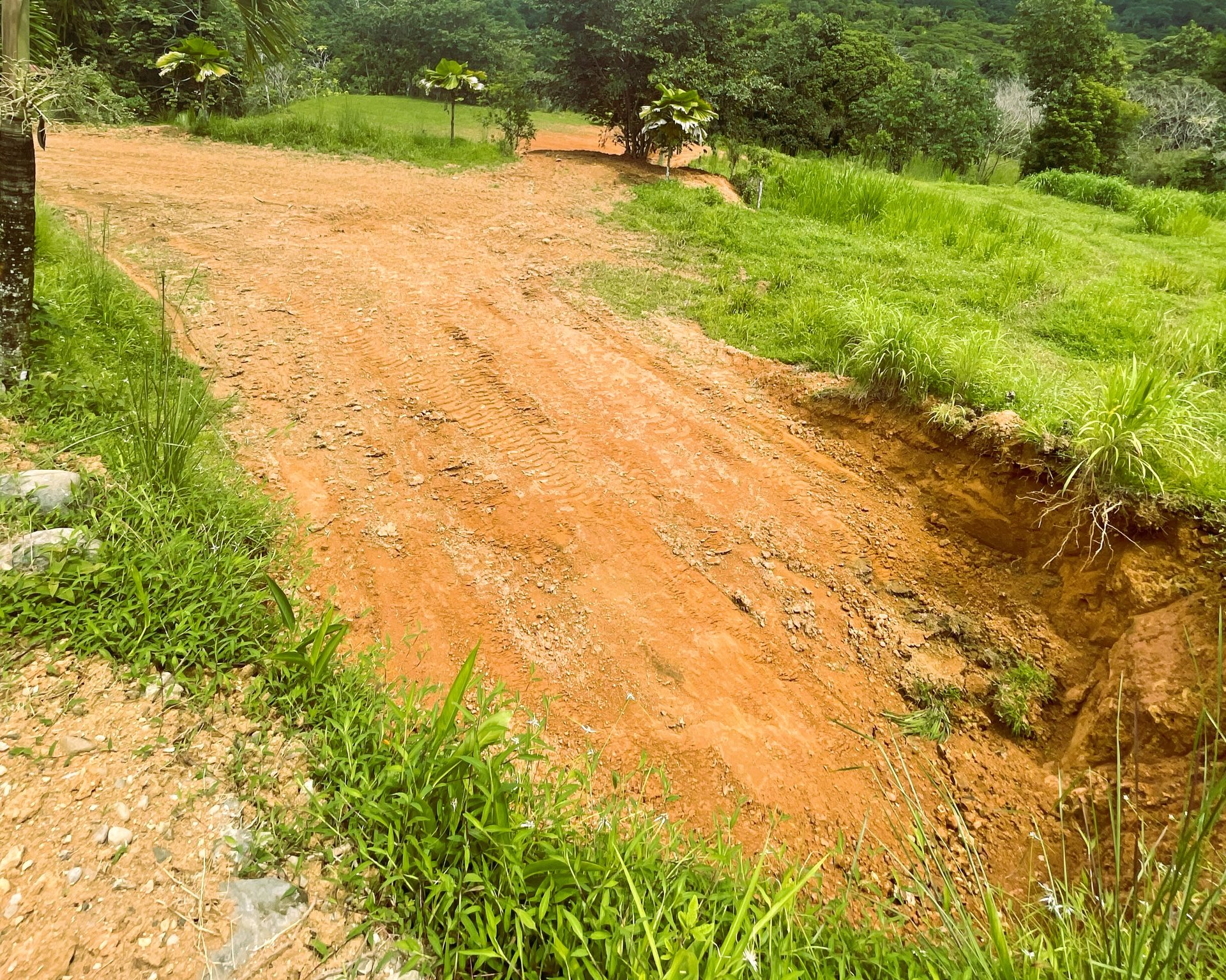 0.22 ACRES – Flat, Ready-to-Build Land with Ocean Glimpse & Quiet Community Setting!!!!