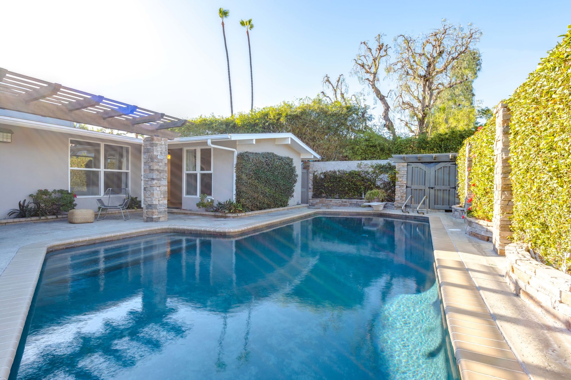 342 Peach Tree