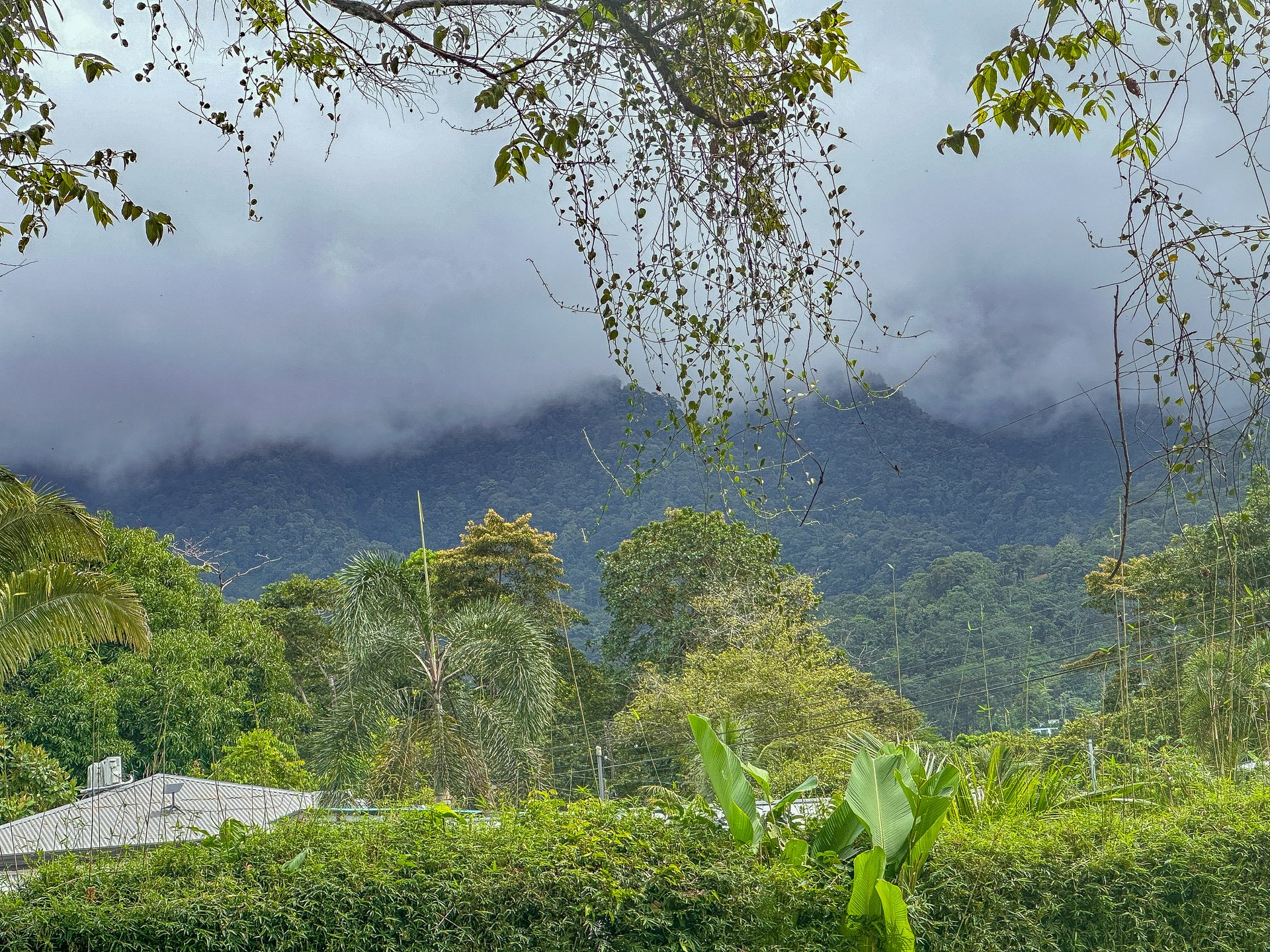 Charming 2-Bedroom Home in the Heart of Ojochal – Privacy, Convenience, and Opportunity Await!